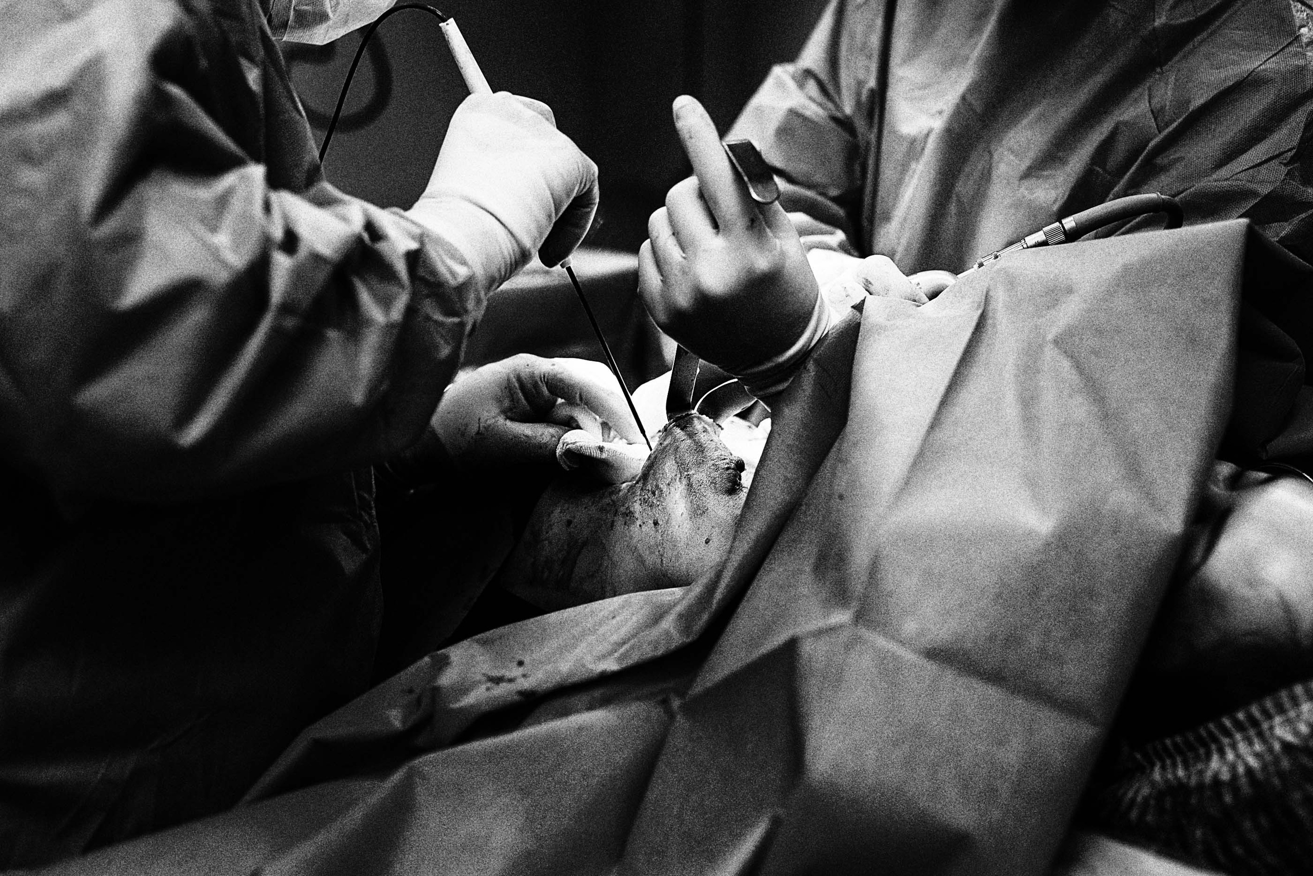 Игорь. Семейный и детский фотограф в Санкт-Петербург. Natalia Fadel