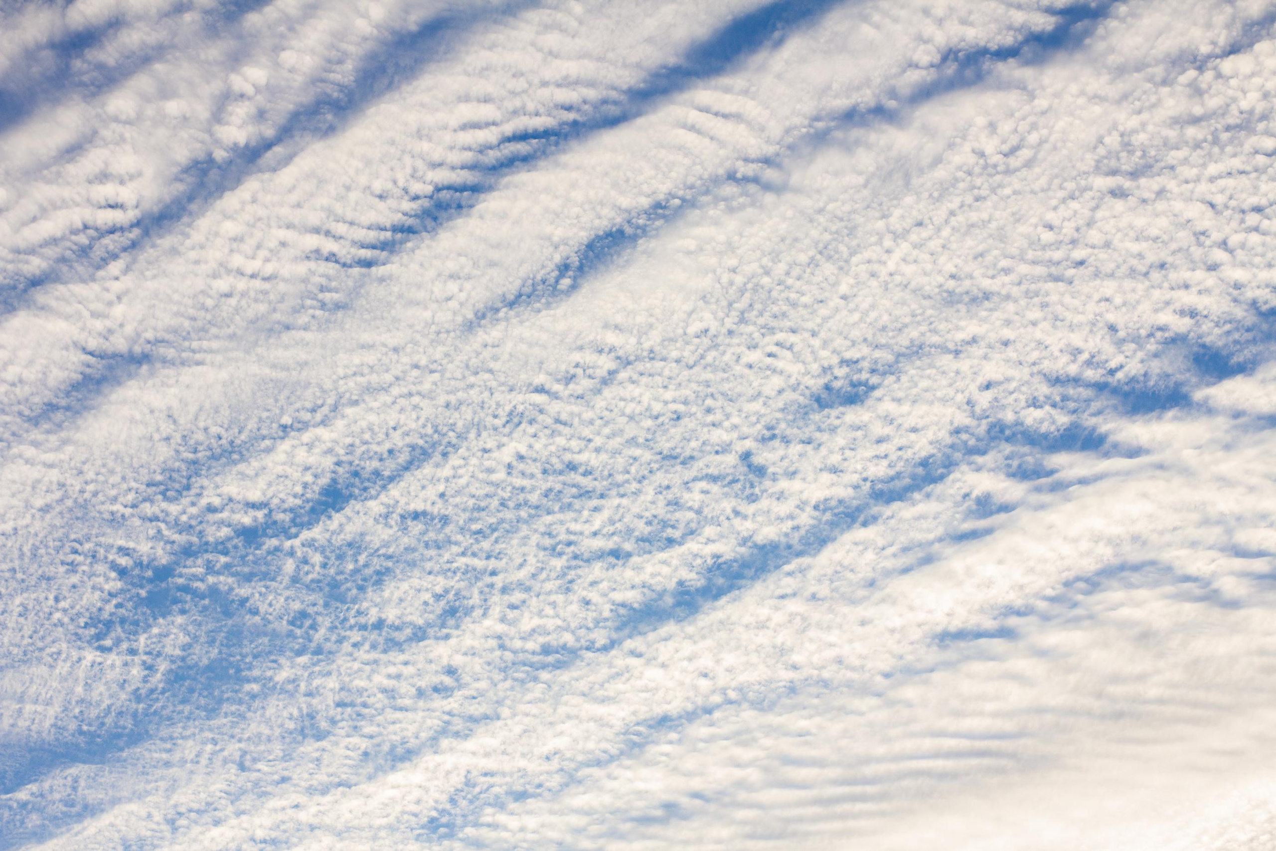 Николь в Костроме. Семейный и детский фотограф в Санкт-Петербург. Natalia Fadel