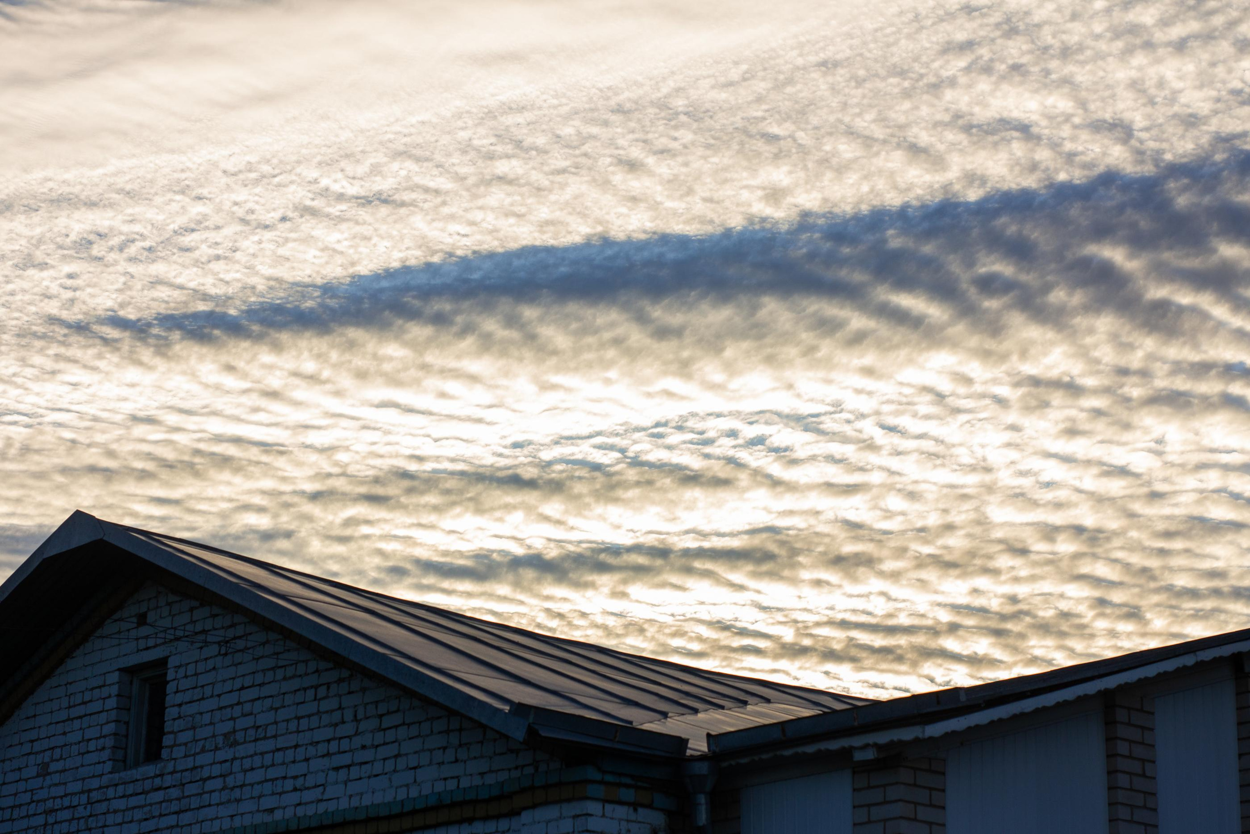Николь в Костроме. Семейный и детский фотограф в Санкт-Петербург. Natalia Fadel