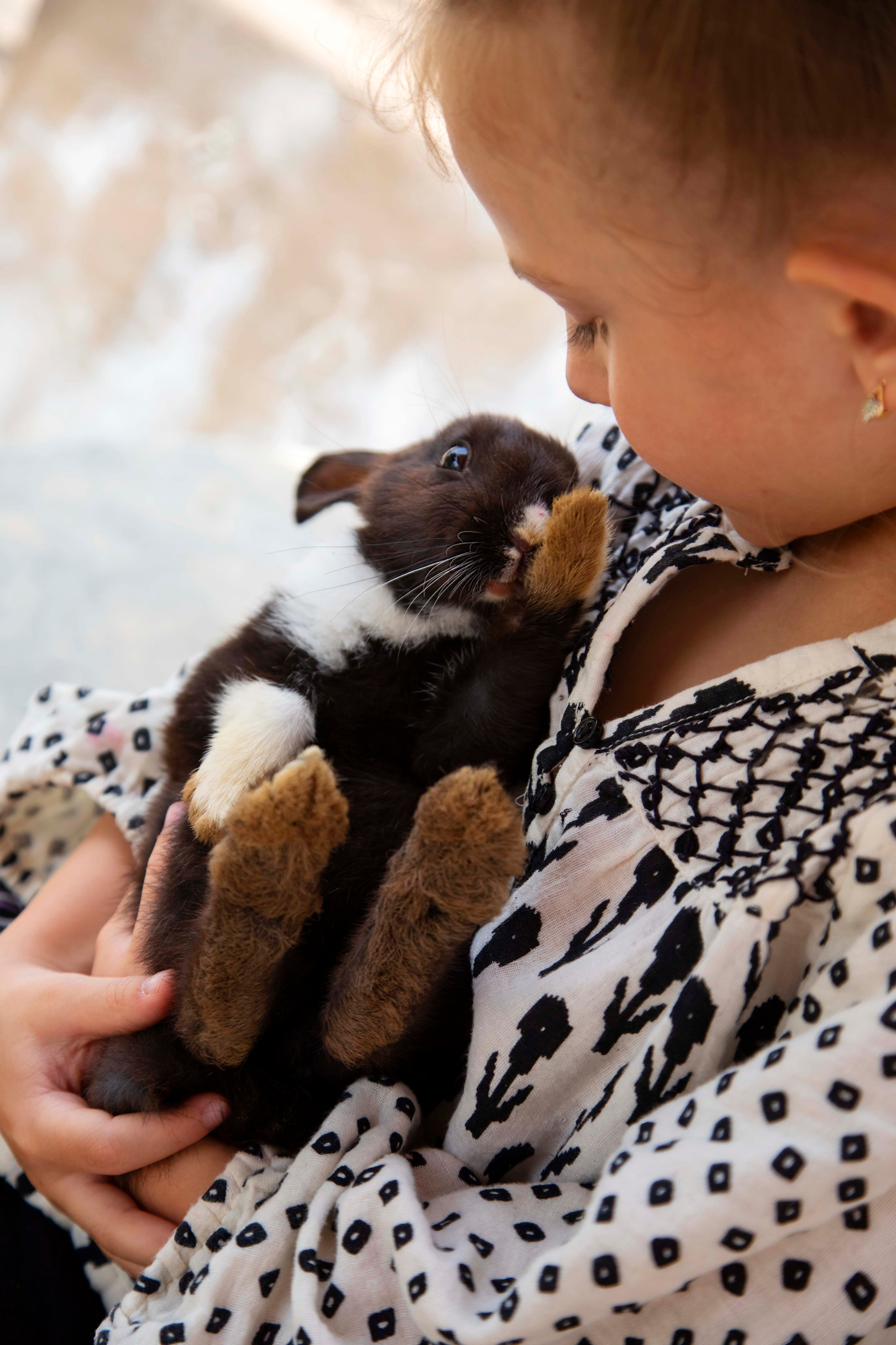 Nikol end rabbit. Семейный и детский фотограф в Санкт-Петербург. Natalia Fadel