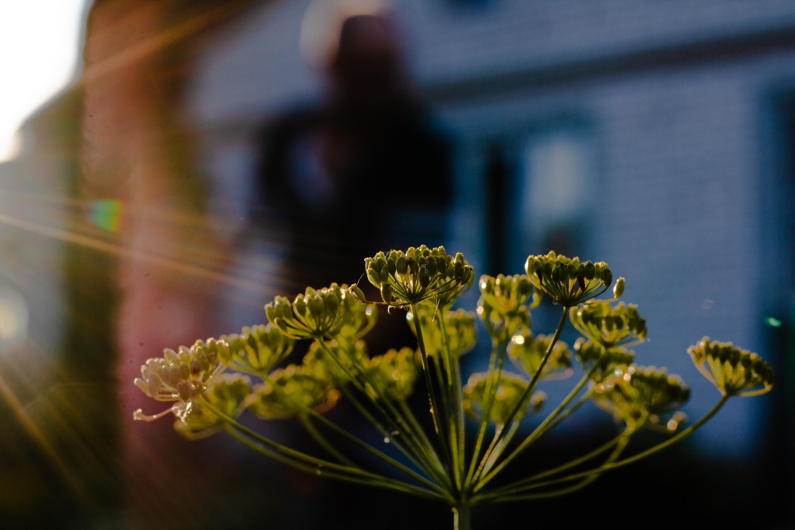 Николь в Костроме. Семейный и детский фотограф в Санкт-Петербург. Natalia Fadel