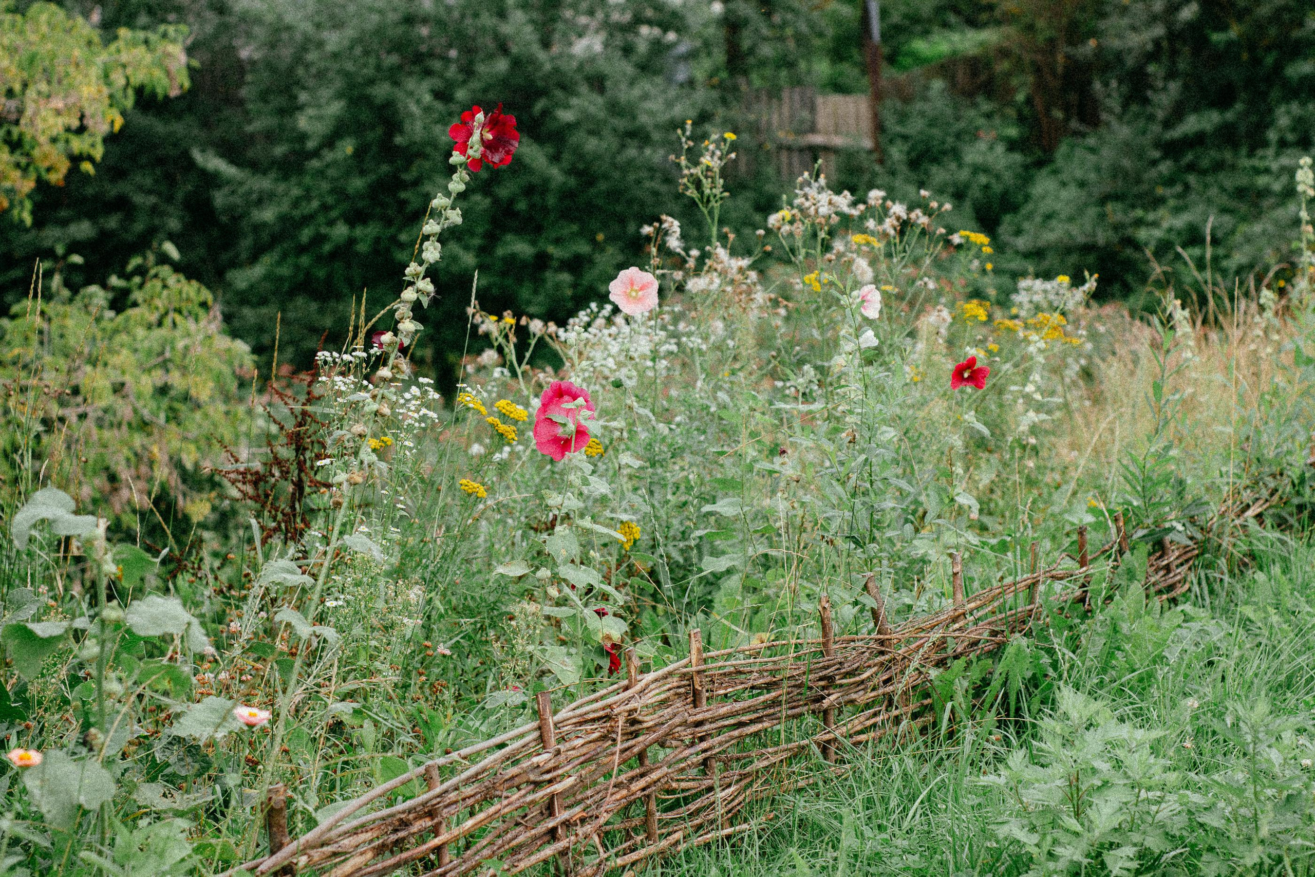 Николь в Костроме. Семейный и детский фотограф в Санкт-Петербург. Natalia Fadel