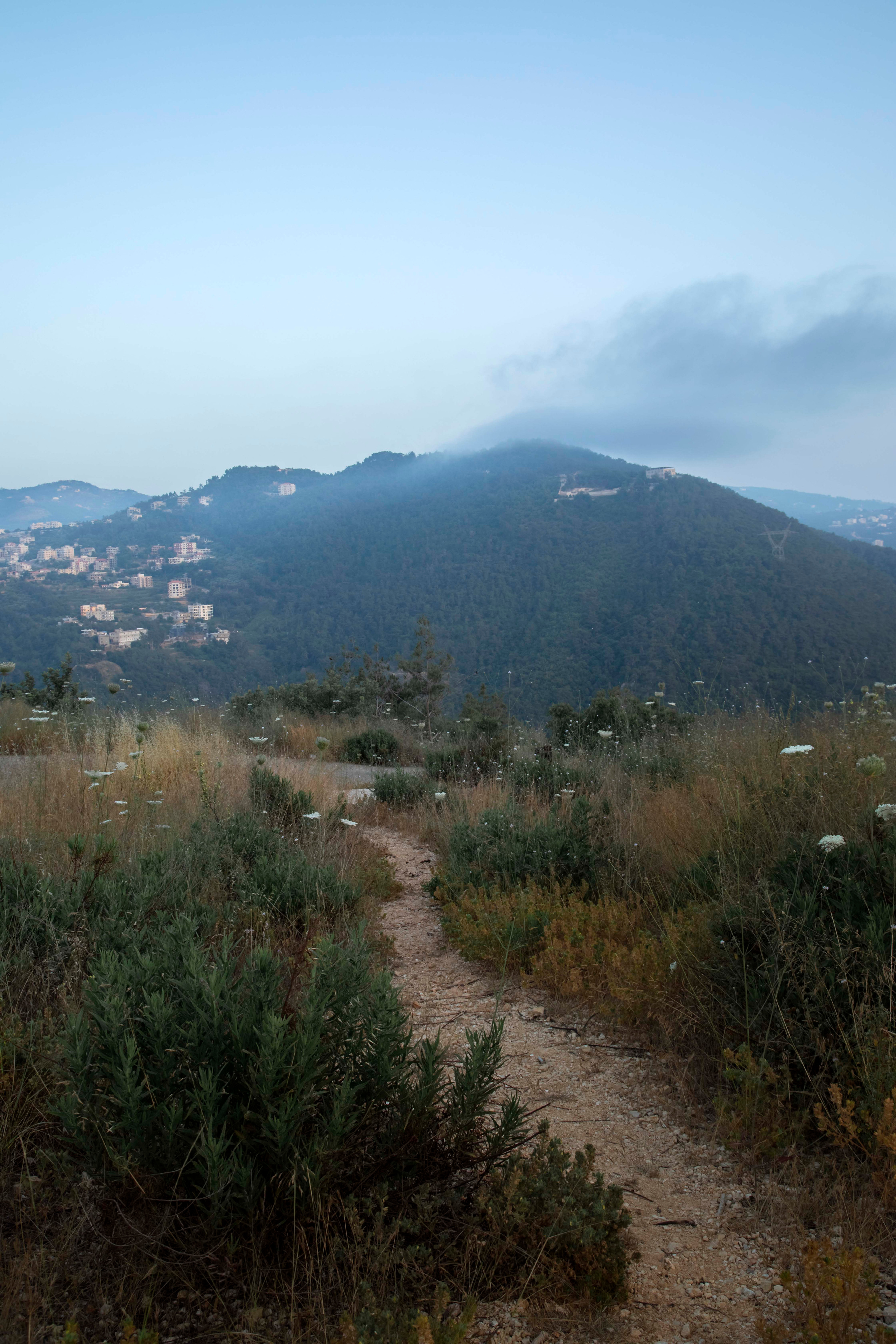 Lera. Семейный и детский фотограф в Санкт-Петербург. Natalia Fadel