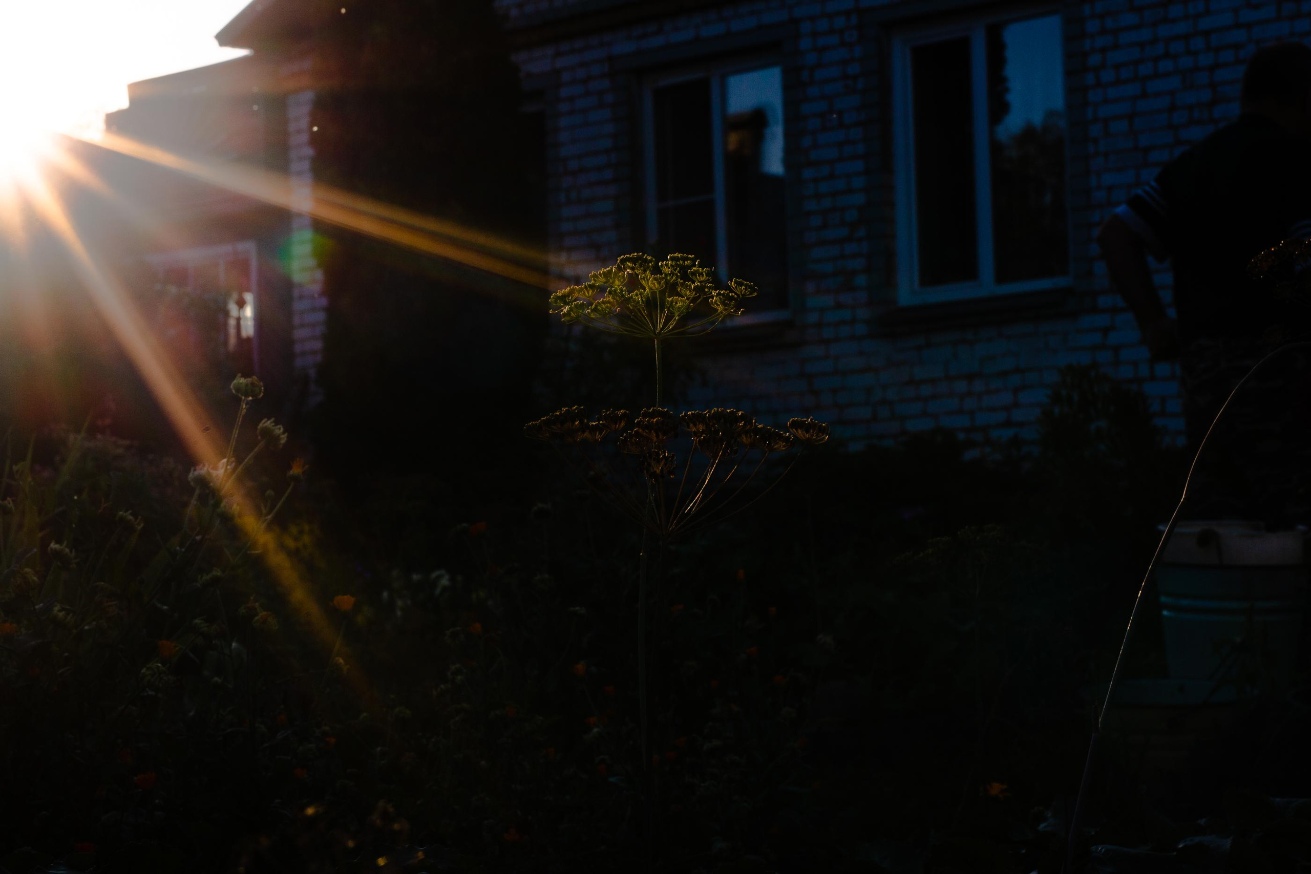 Николь в Костроме. Семейный и детский фотограф в Санкт-Петербург. Natalia Fadel