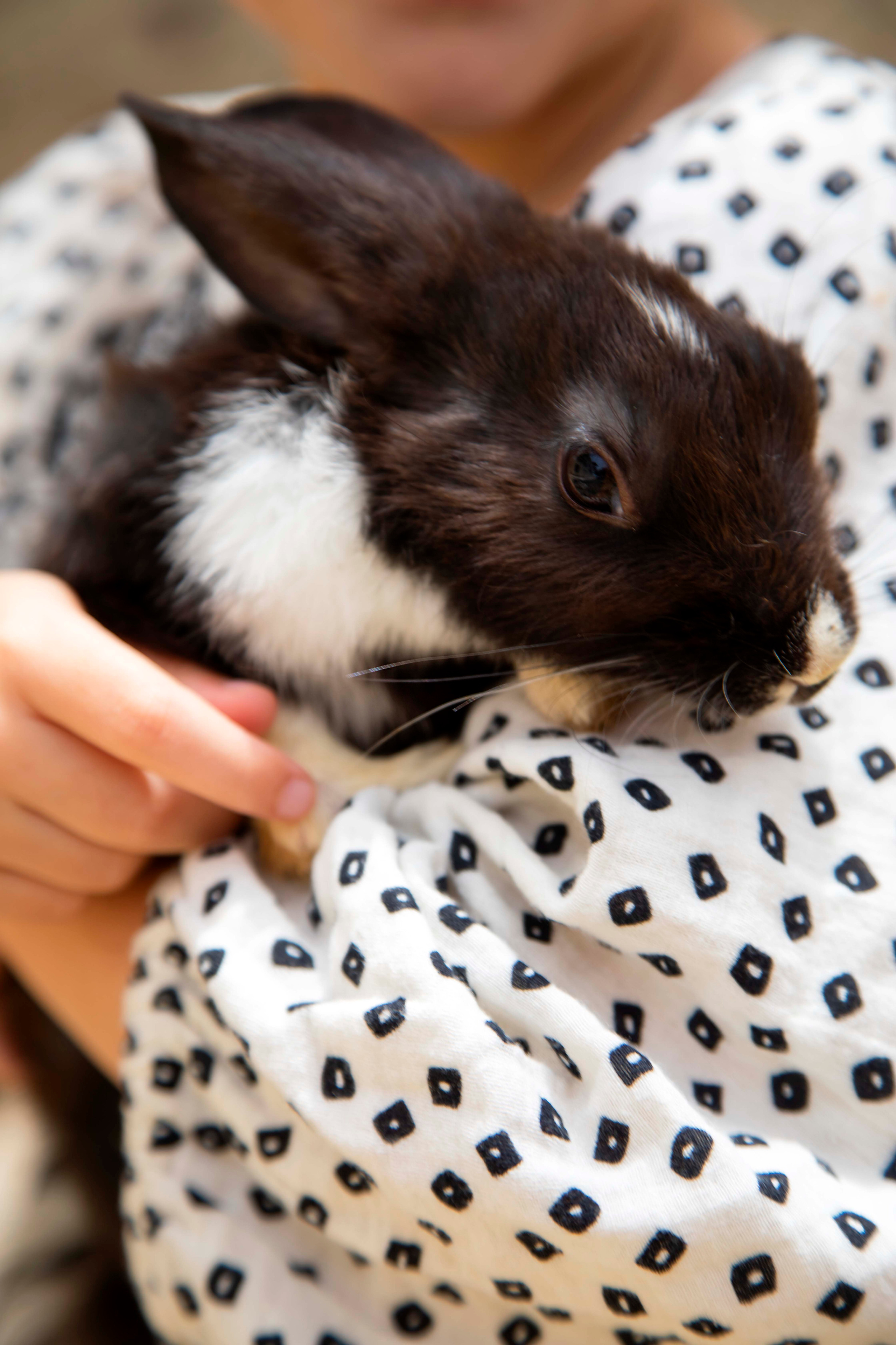 Nikol end rabbit. Семейный и детский фотограф в Санкт-Петербург. Natalia Fadel