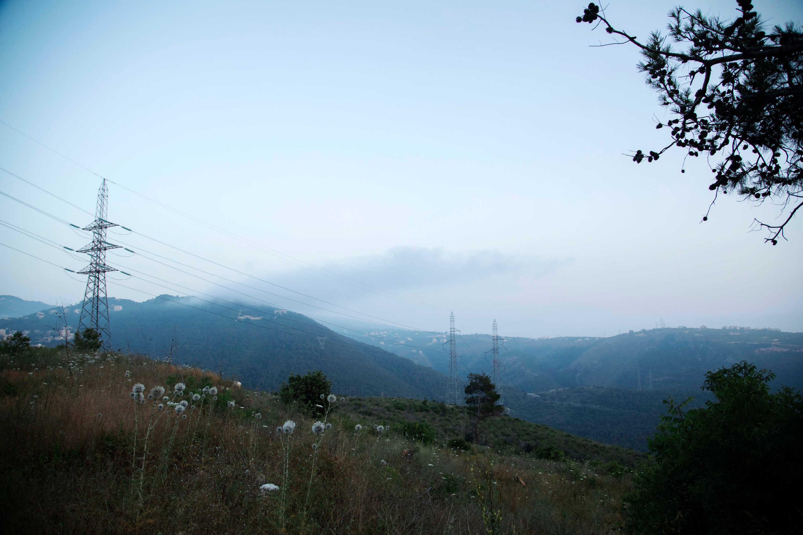 Lera. Семейный и детский фотограф в Санкт-Петербург. Natalia Fadel