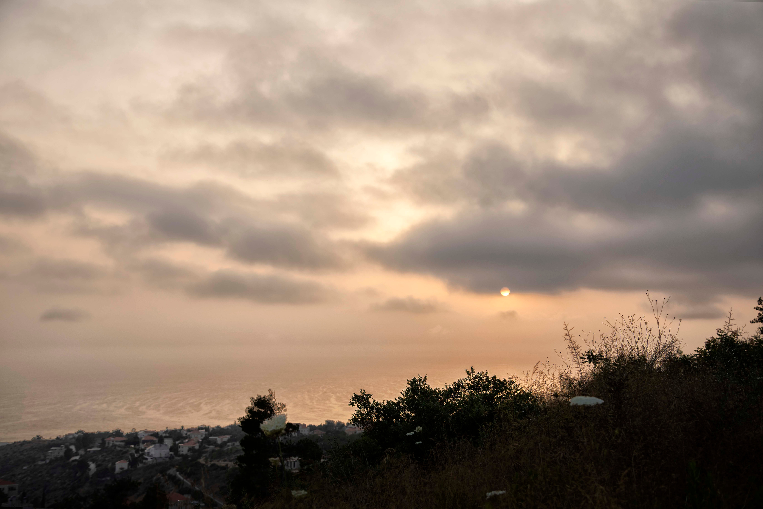 Lera. Семейный и детский фотограф в Санкт-Петербург. Natalia Fadel