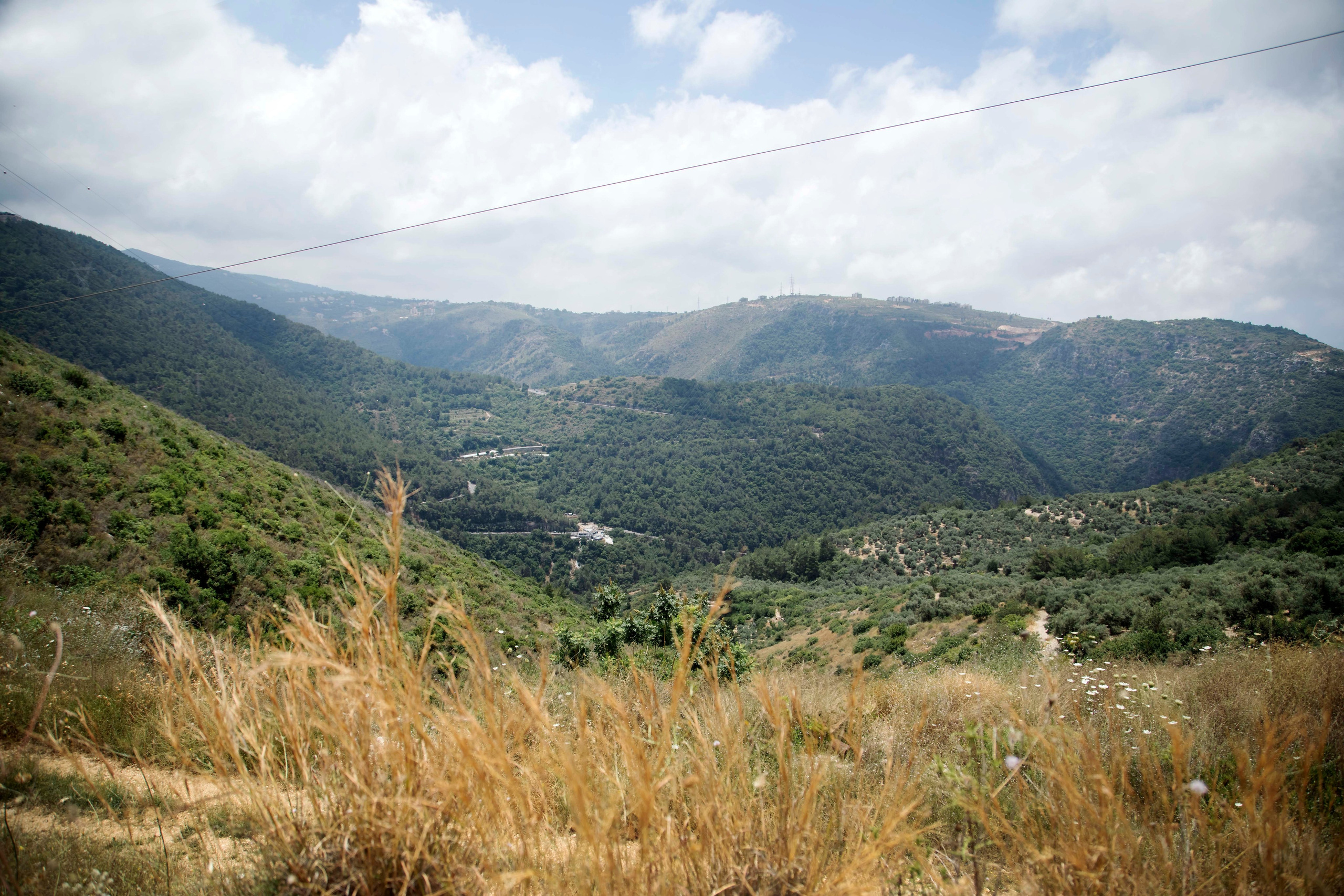 Lera. Семейный и детский фотограф в Санкт-Петербург. Natalia Fadel