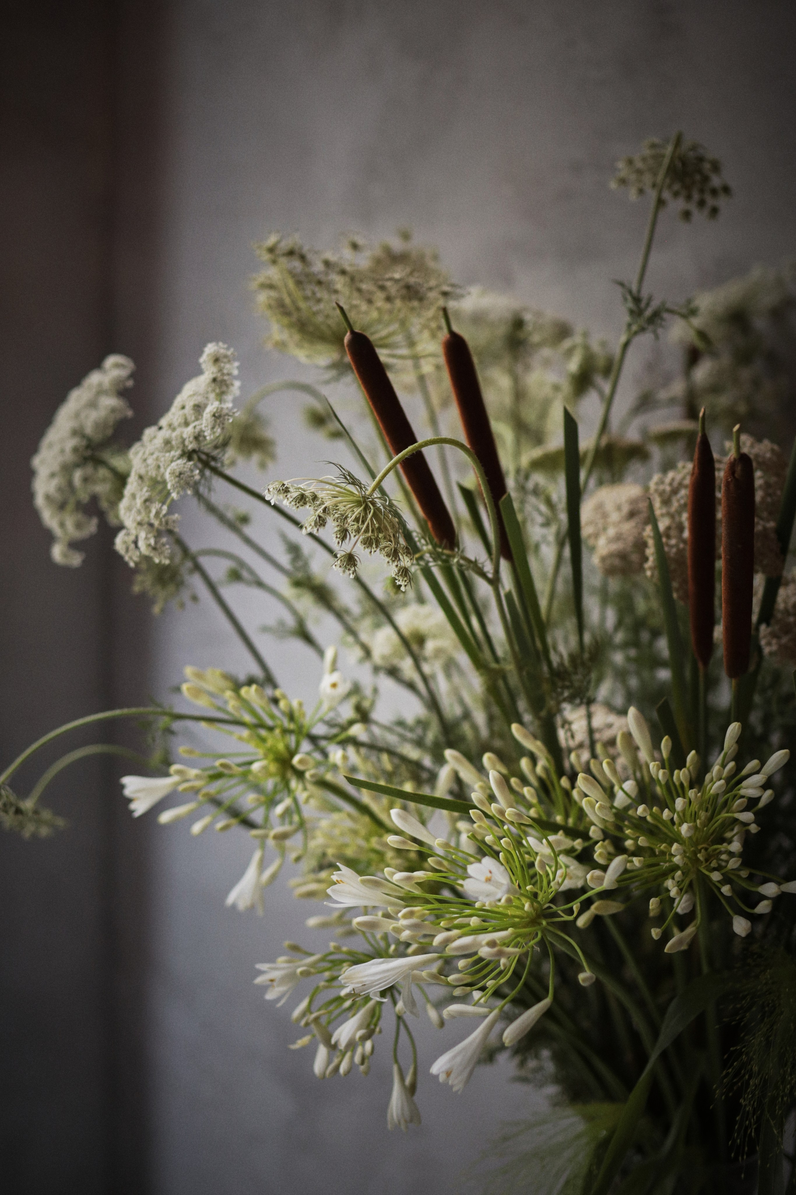 Flowers. Виктория Калугина — фотограф и видеомейкер в Москве