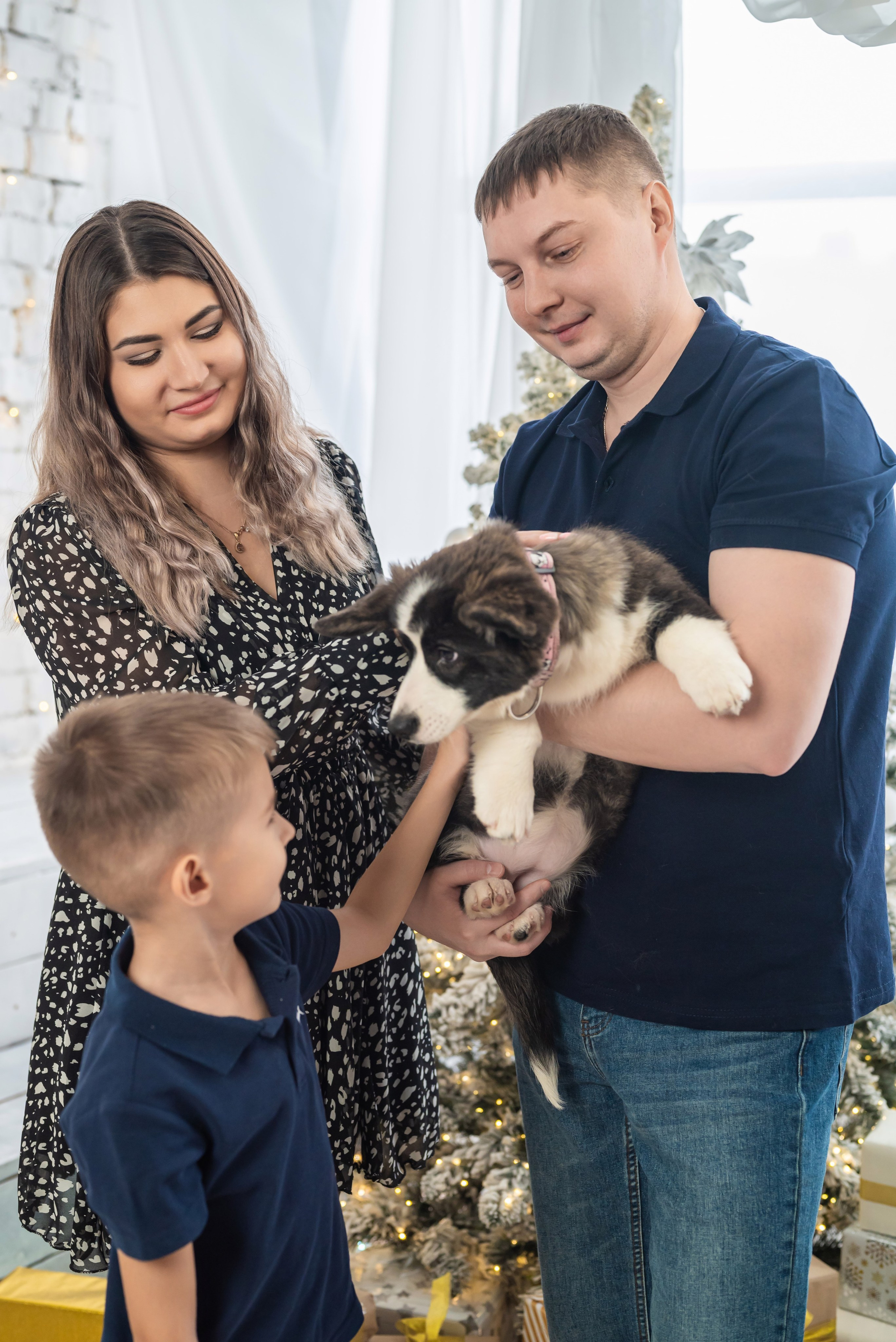 Фотопроект с корги. Фотограф в городе Салават