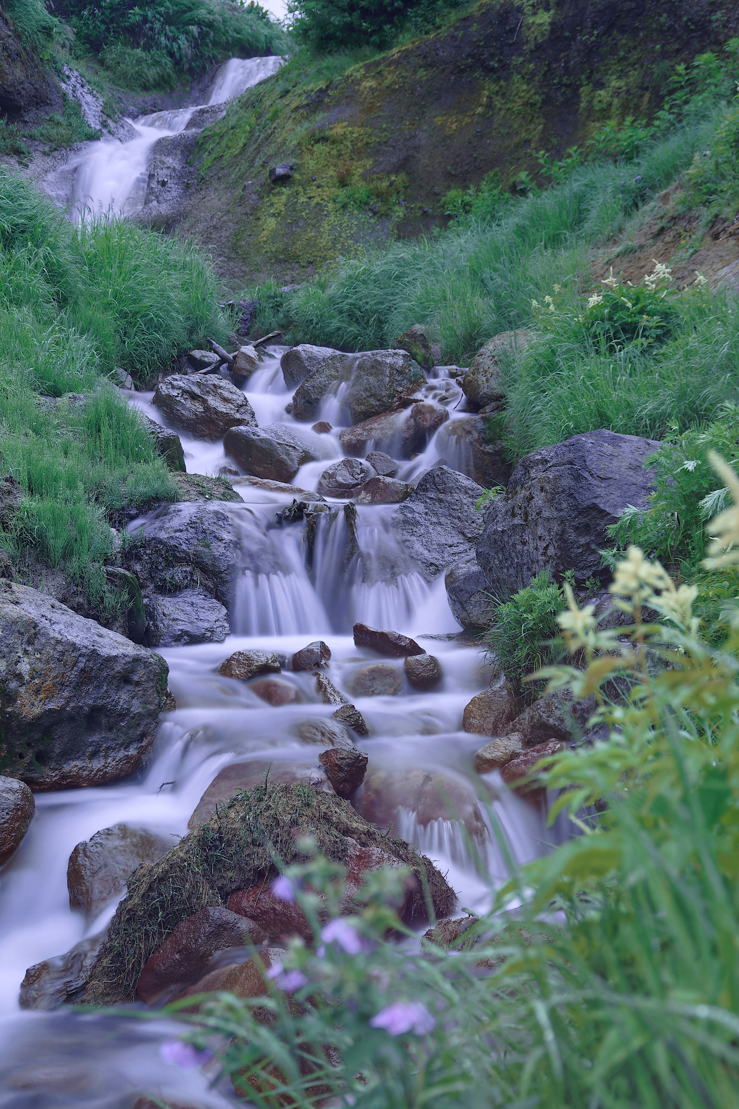 Камчатка. Фототрип. Тур?. Семоха Валерий. Фотограф