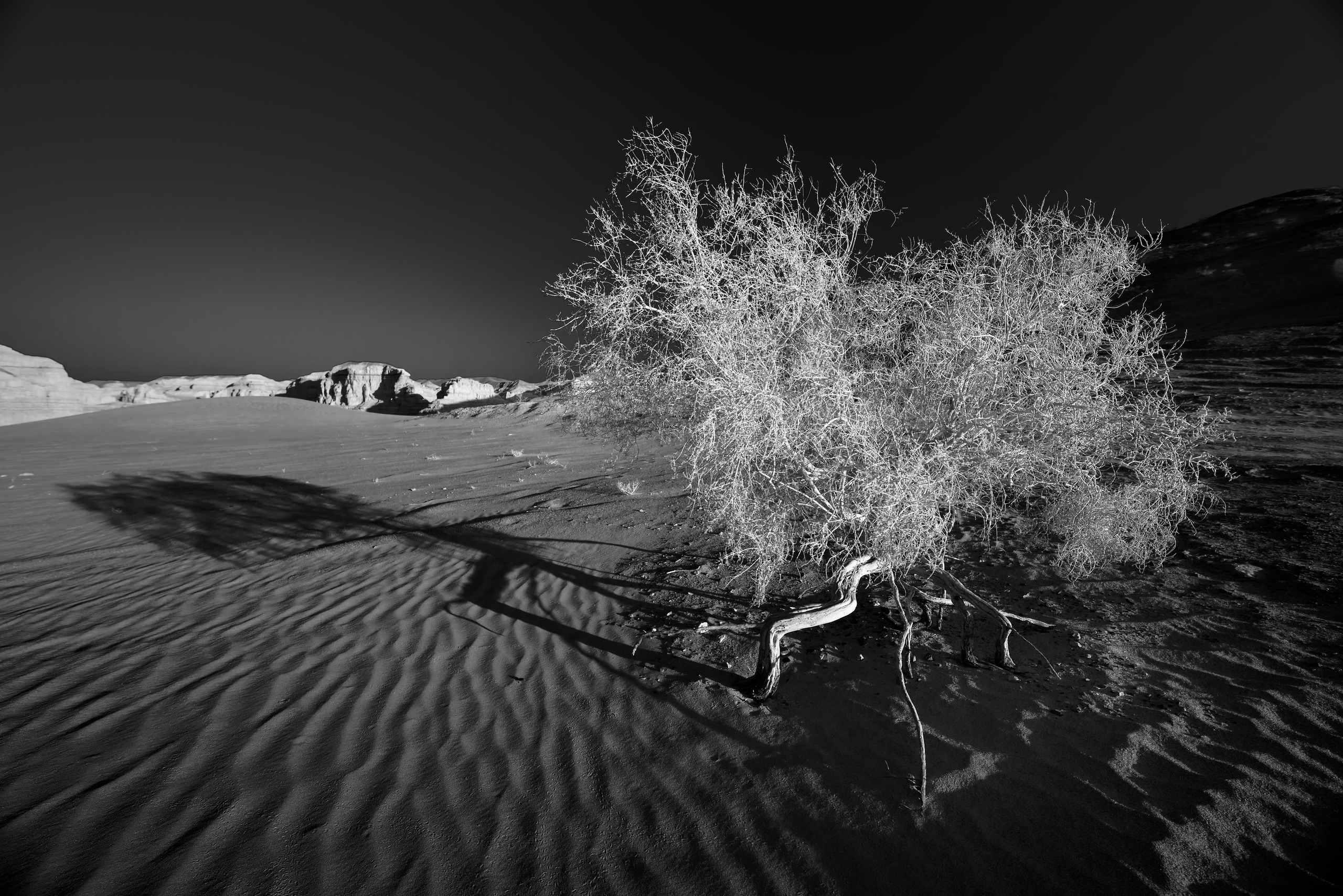 Экспедиция в Монголию (Гоби). Семоха Валерий. Фотограф