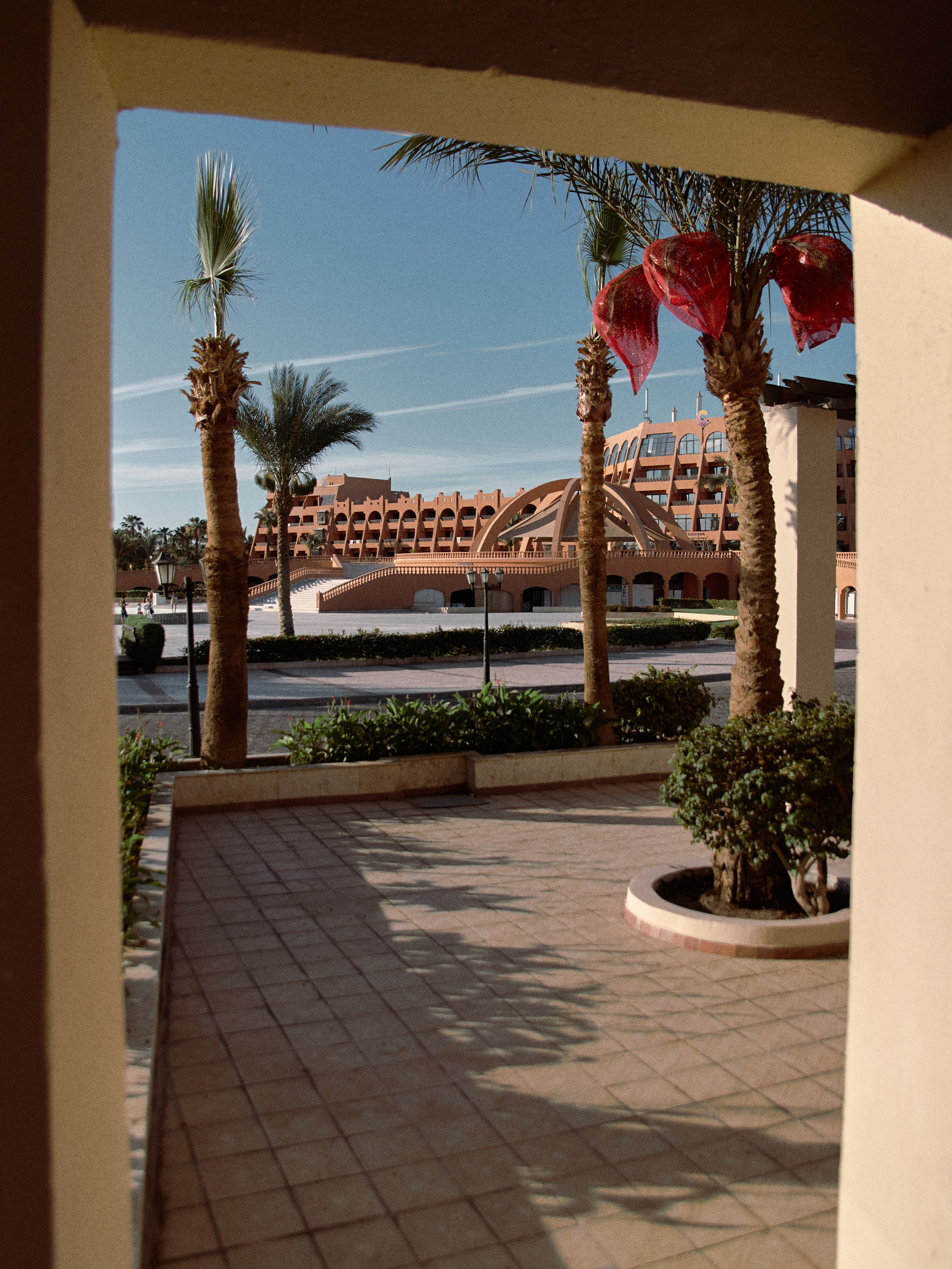 Улицы. Jorgis Talè — photographer, kind person, teacher of arts and other mag