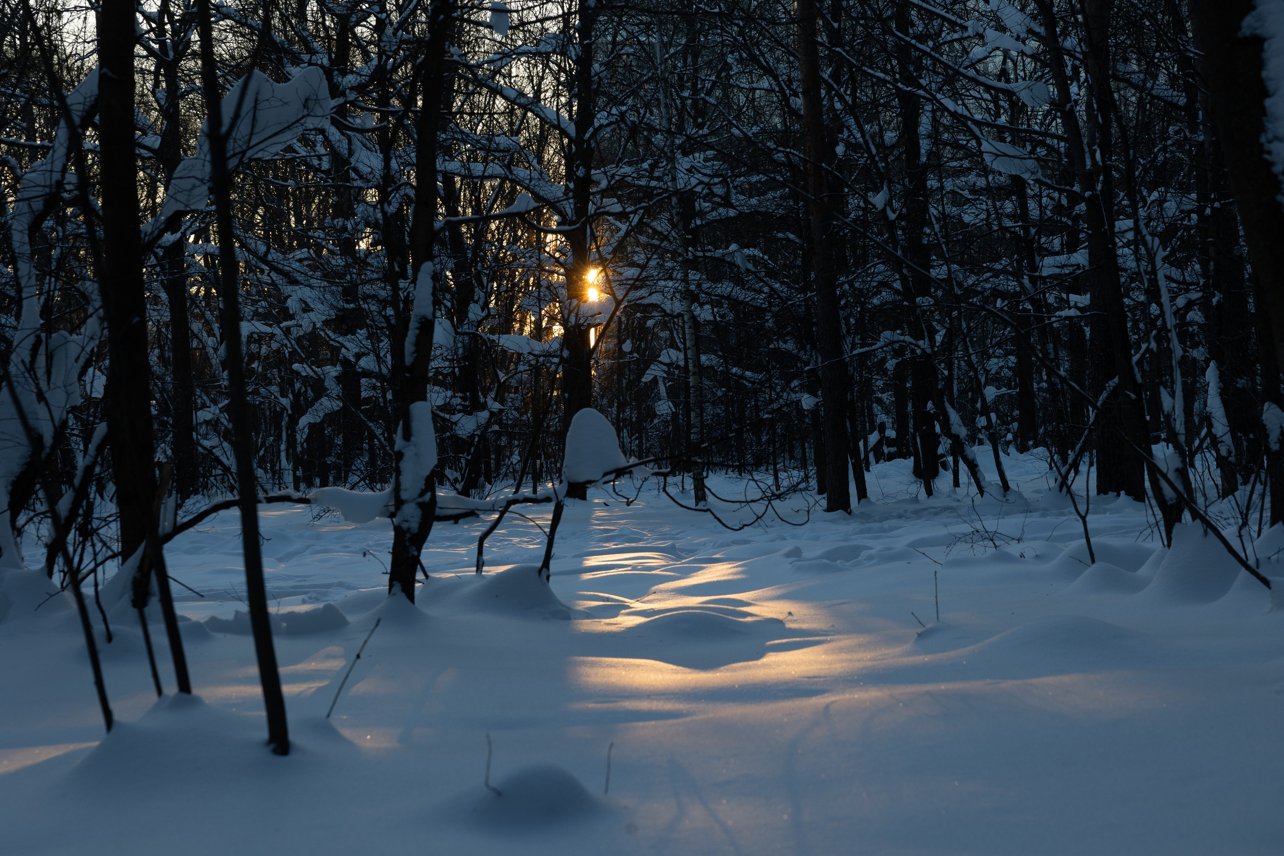 Art prints. Фотограф алина стерхова, алина стерхова фотограф, фотограф москва