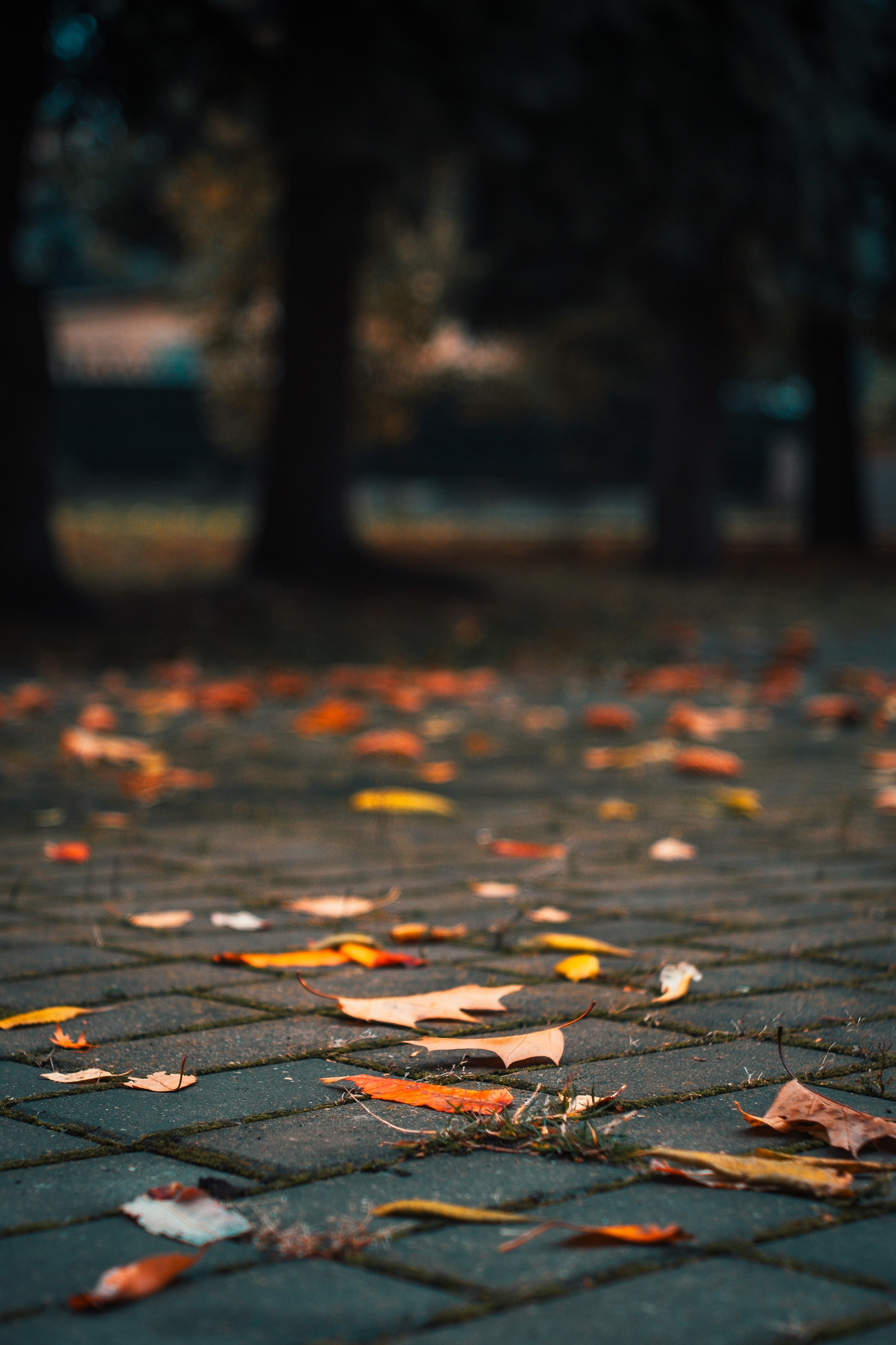 Street photo. Фотограф (photographer) Lischinski Vitaliy
