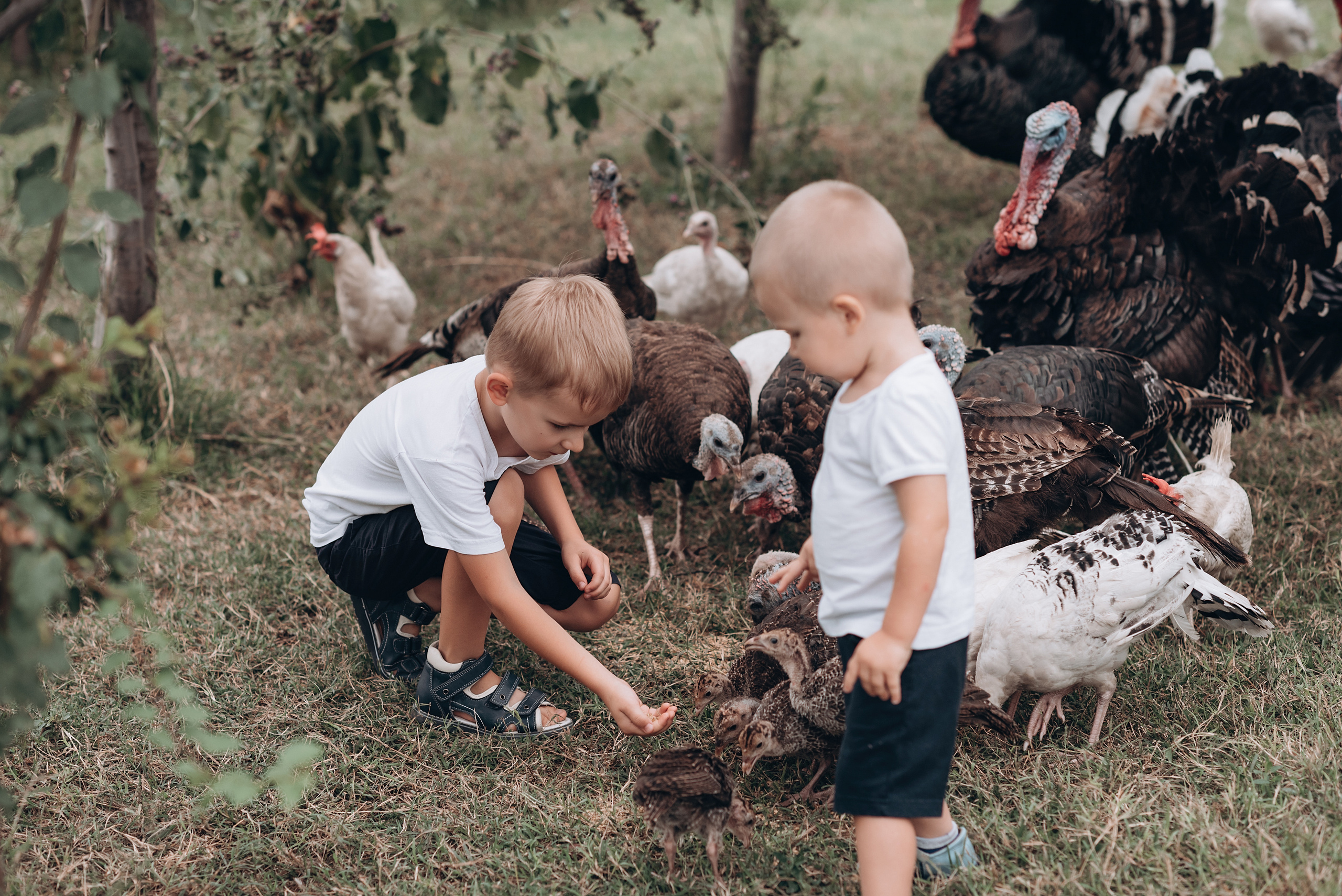Пикник на заднем дворе. Свадебный и семейный фотограф Екатерина Коробова г. Моздок