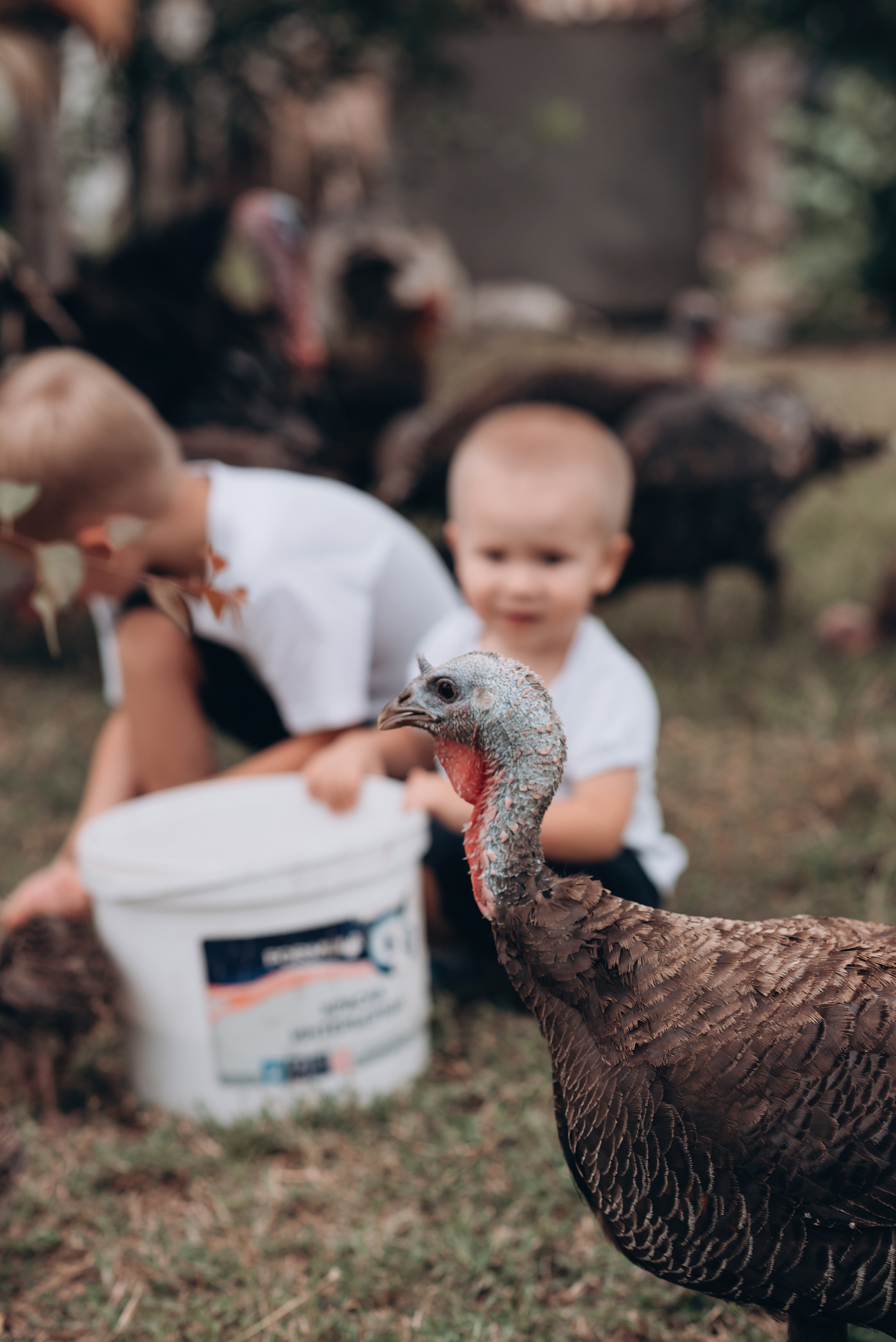 Пикник на заднем дворе. Свадебный и семейный фотограф Екатерина Коробова г. Моздок