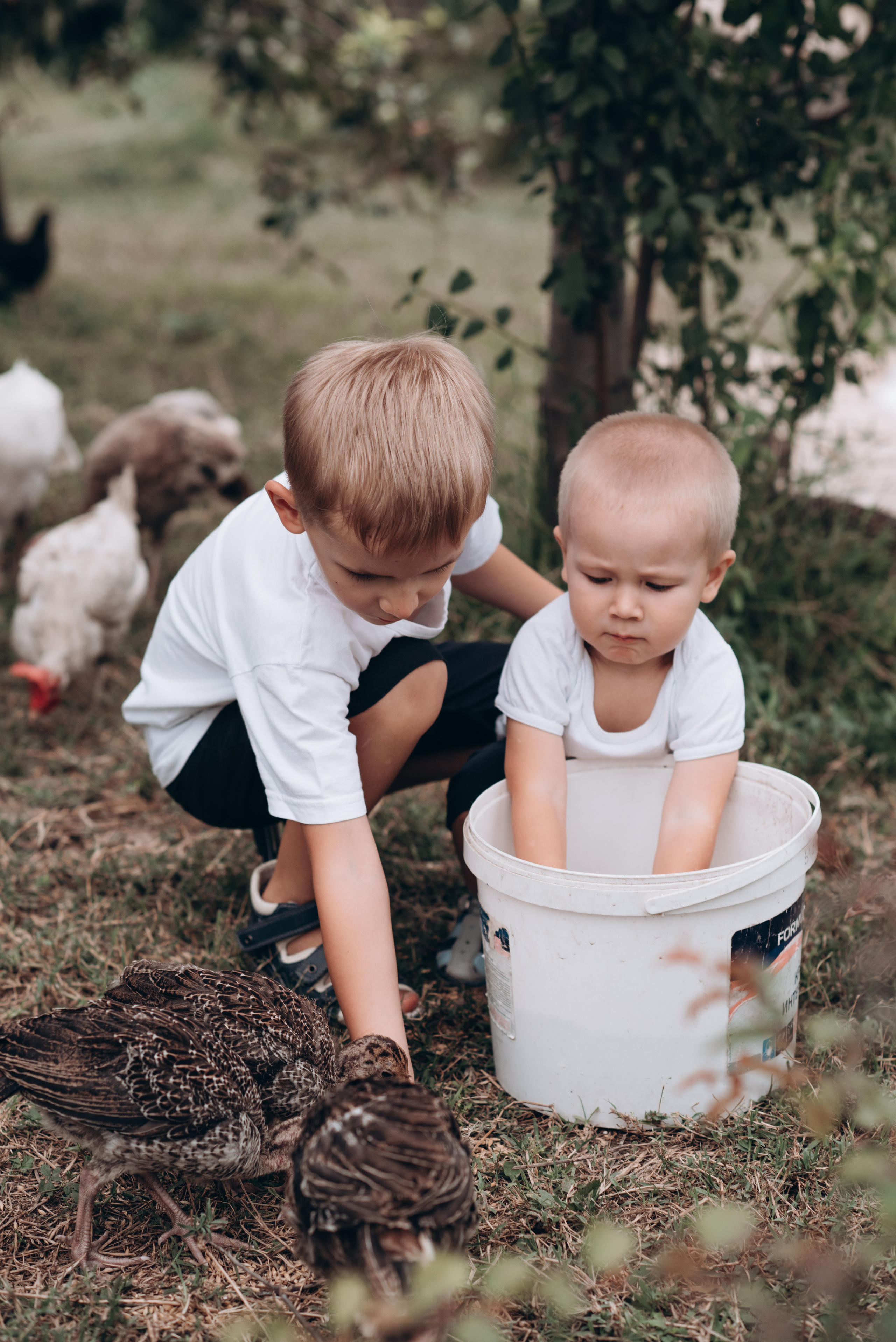 Пикник на заднем дворе. Свадебный и семейный фотограф Екатерина Коробова г. Моздок