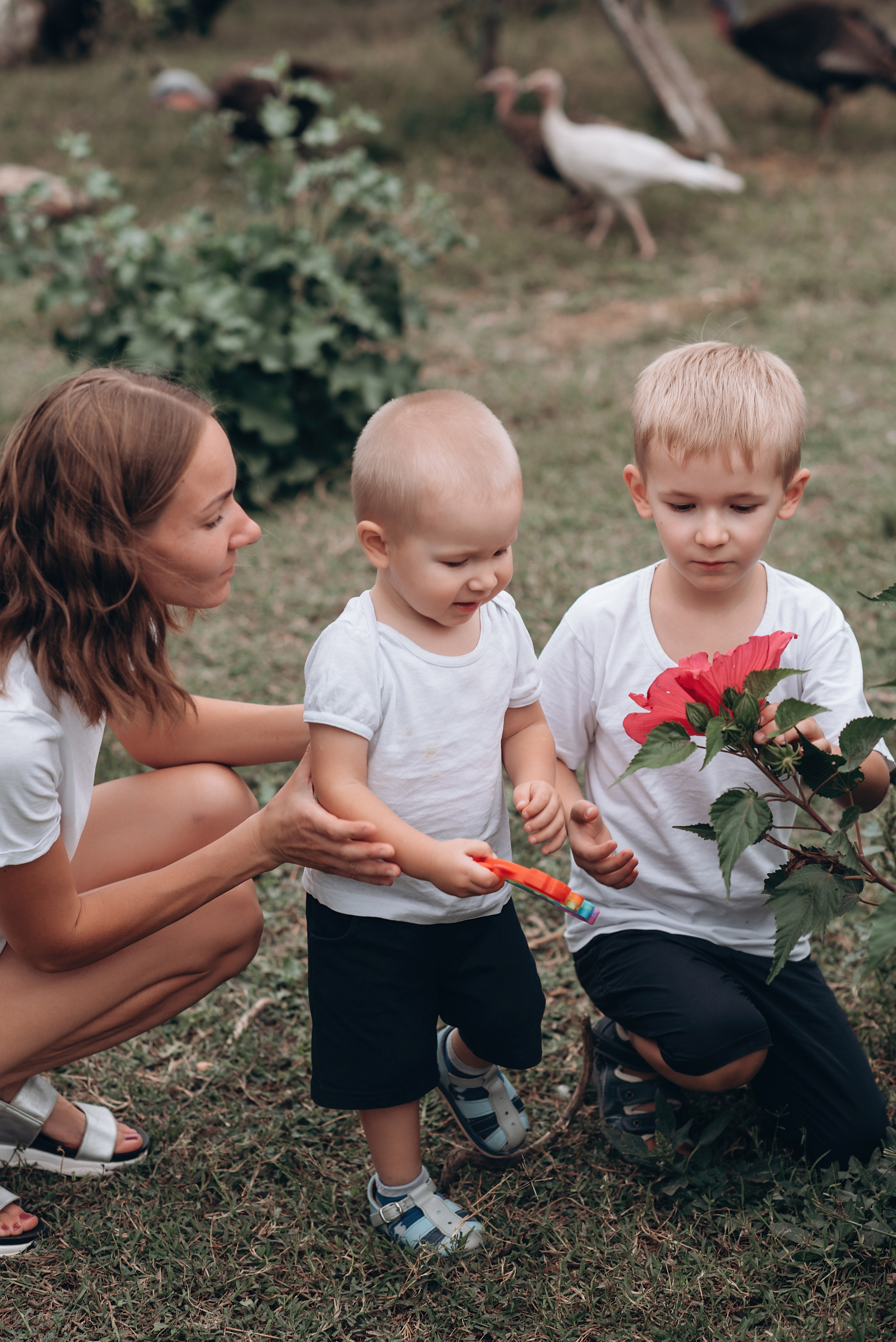 Пикник на заднем дворе. Свадебный и семейный фотограф Екатерина Коробова г. Моздок