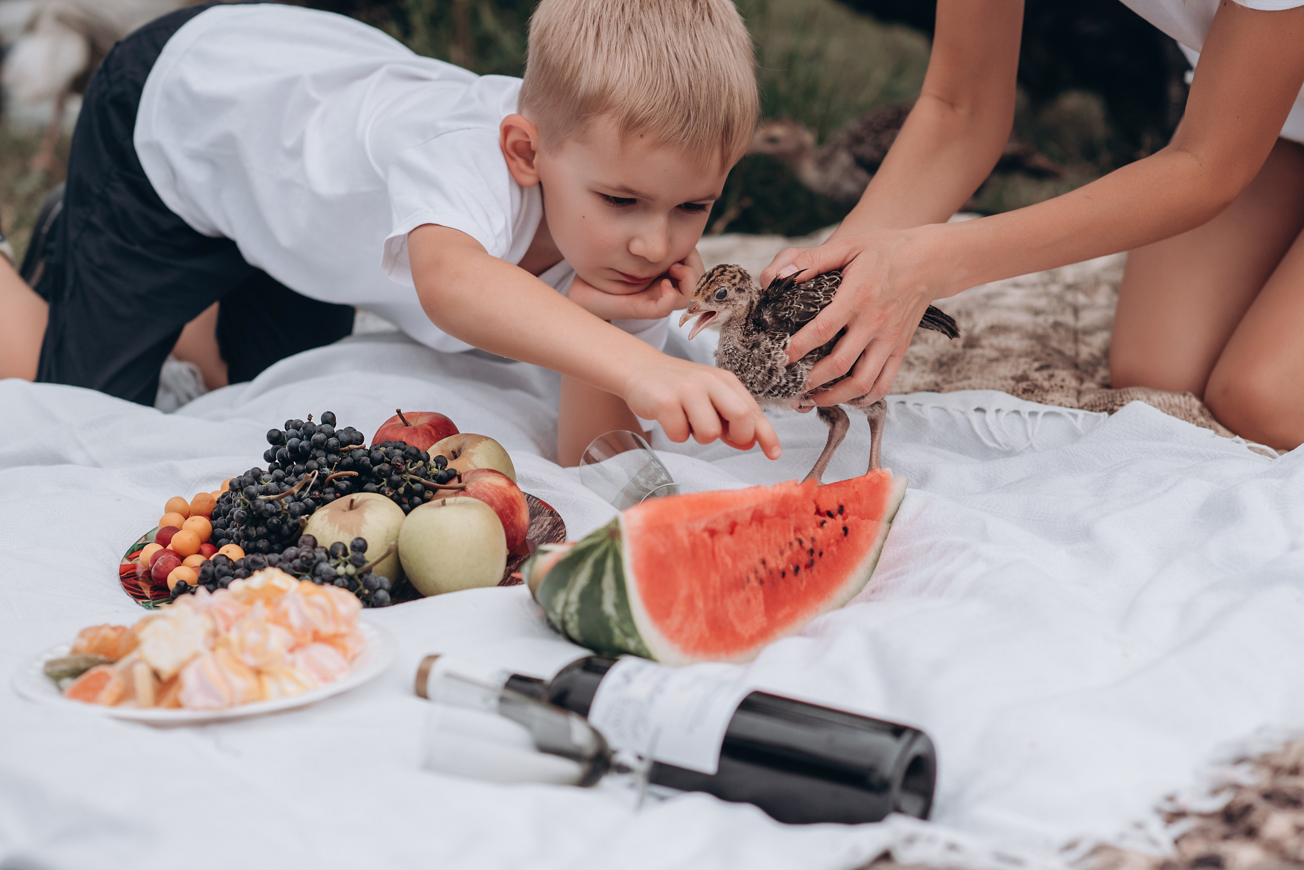 Пикник на заднем дворе. Свадебный и семейный фотограф Екатерина Коробова г. Моздок