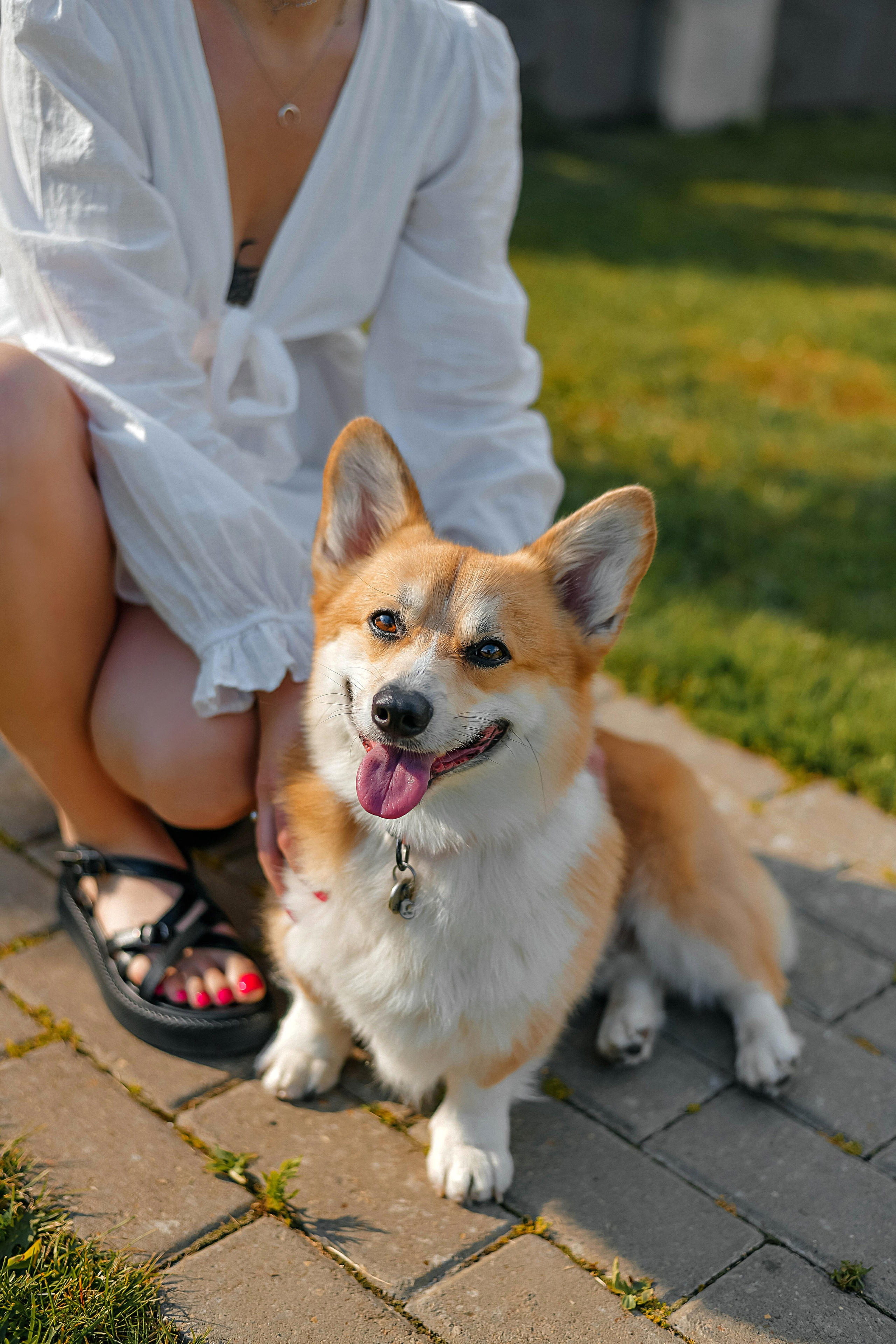 Сергей и Виктория 14.07.24. Фотограф Подольск