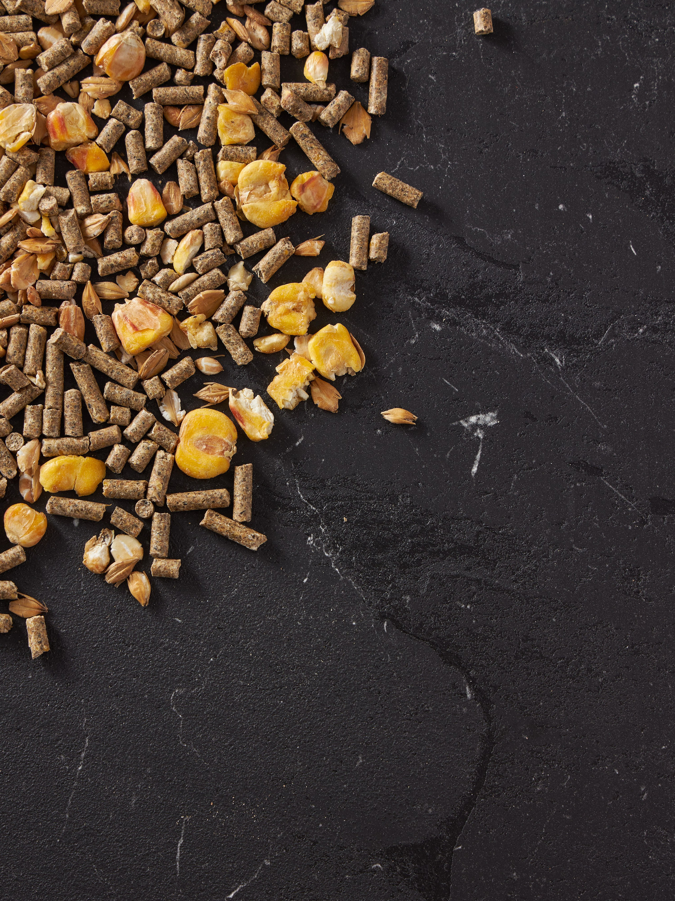 Фотосъемка корма для животных для маркетплейсов. Алексей Темнов — фотограф в Пятигорске