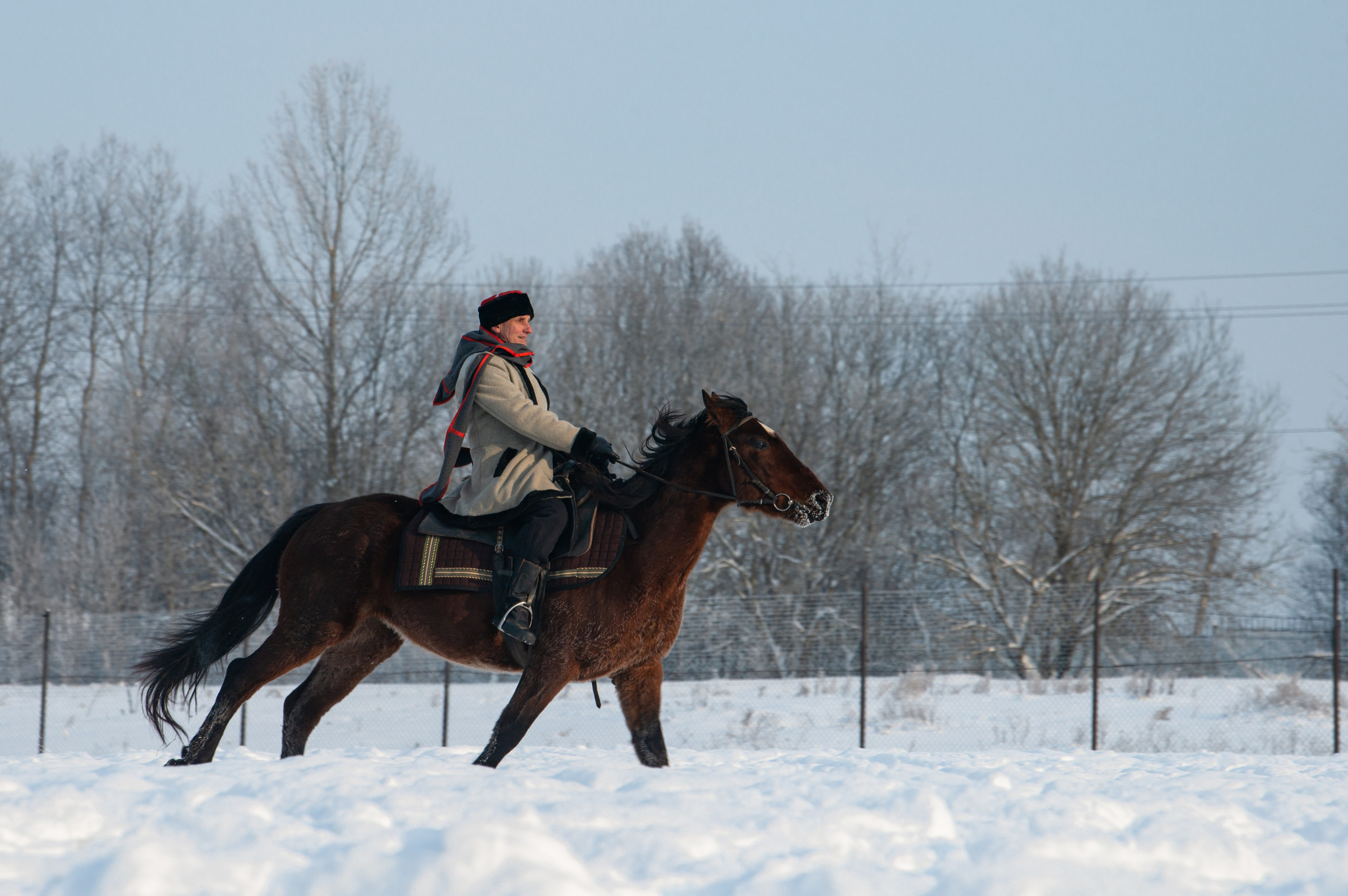 Псовая охота Аванпост. Конный фотограф в Саратове Юлия Иванова