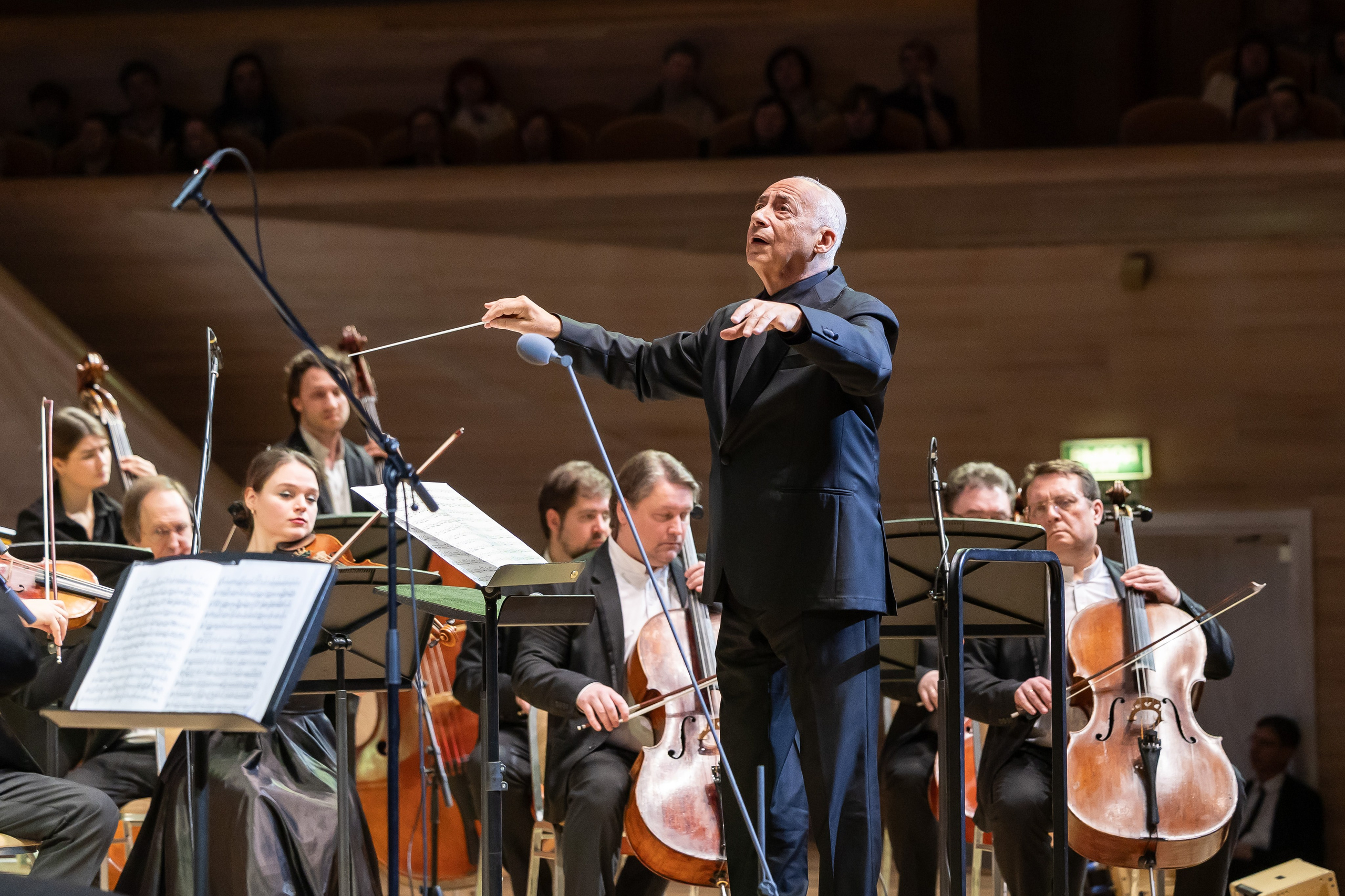 Дом музыки. Концерт к 270-летию Моцарта. Фотограф Владимир Охрименко
