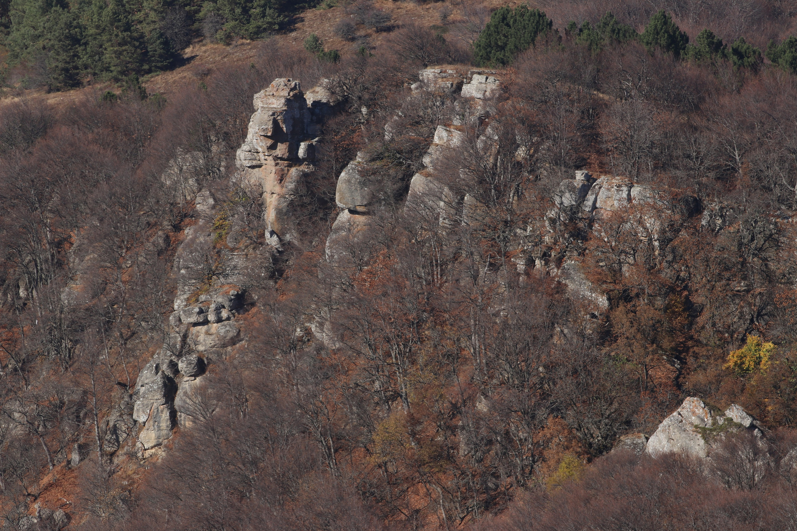 Крым. ЮБК (Гурзуф, Судак и их окрестности). Ноябрь 2023. Путешественник-фотограф из Санкт-Петербурга Татьяна Свистулина
