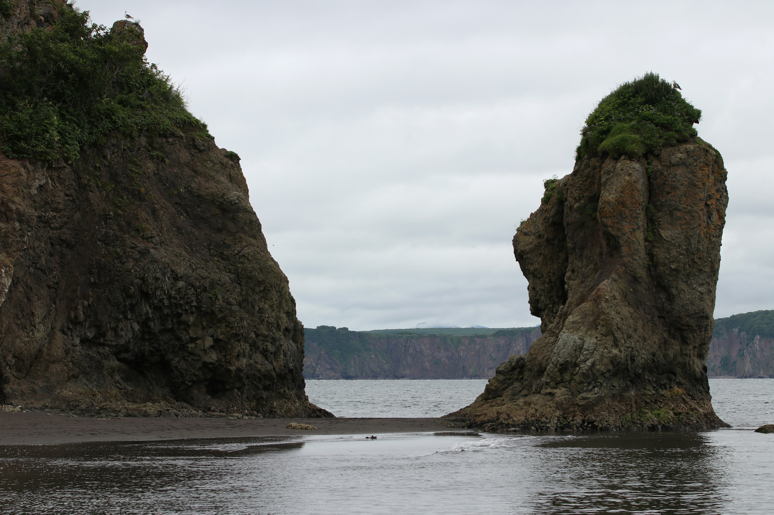 Камчатка и о. Парамушир. Июль 2024. Путешественник-фотограф из Санкт-Петербурга Татьяна Свистулина