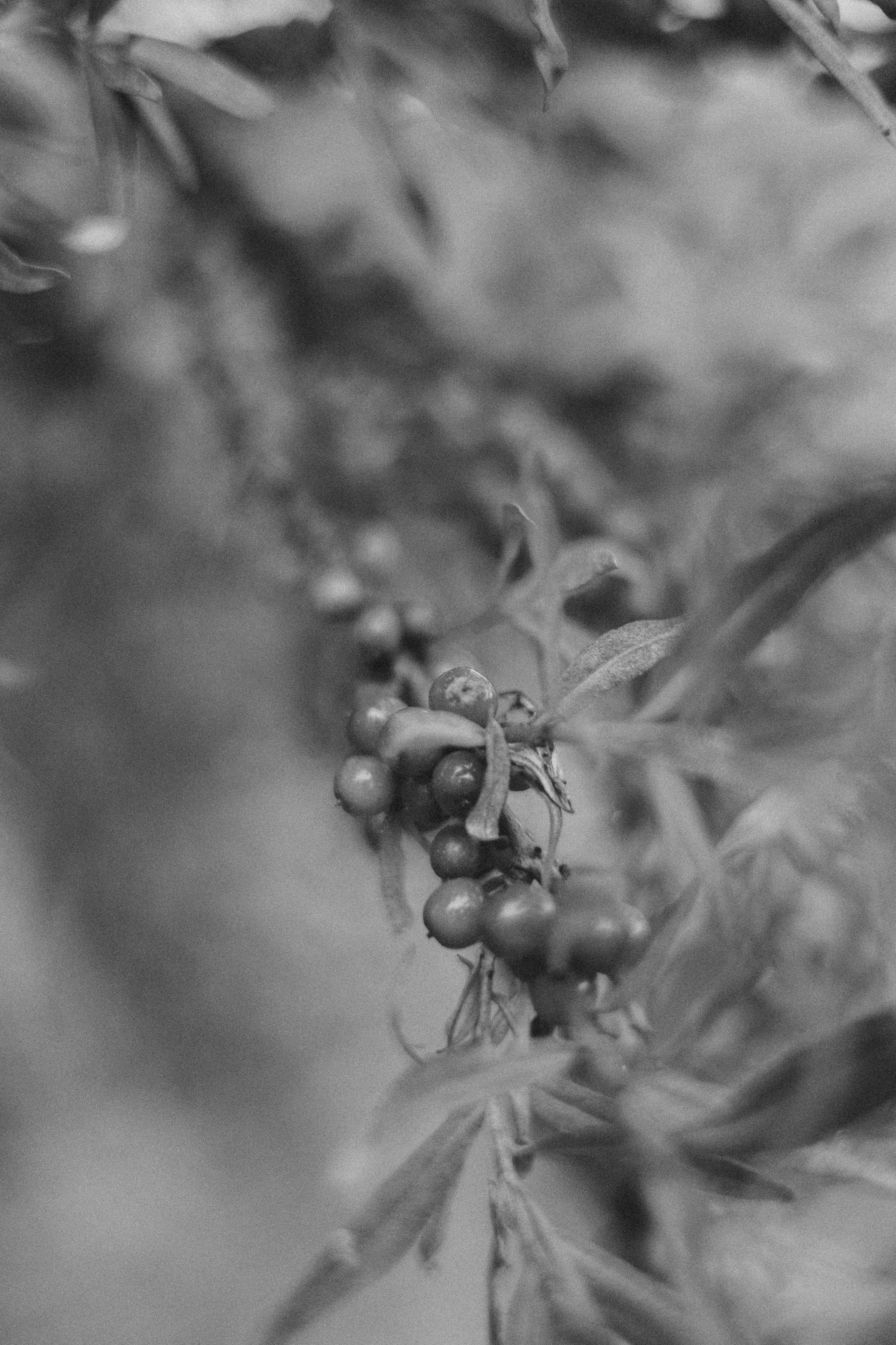 Квашнёвы Family. Фотограф Нестратенко Станислав г. Шилка, г. Чита