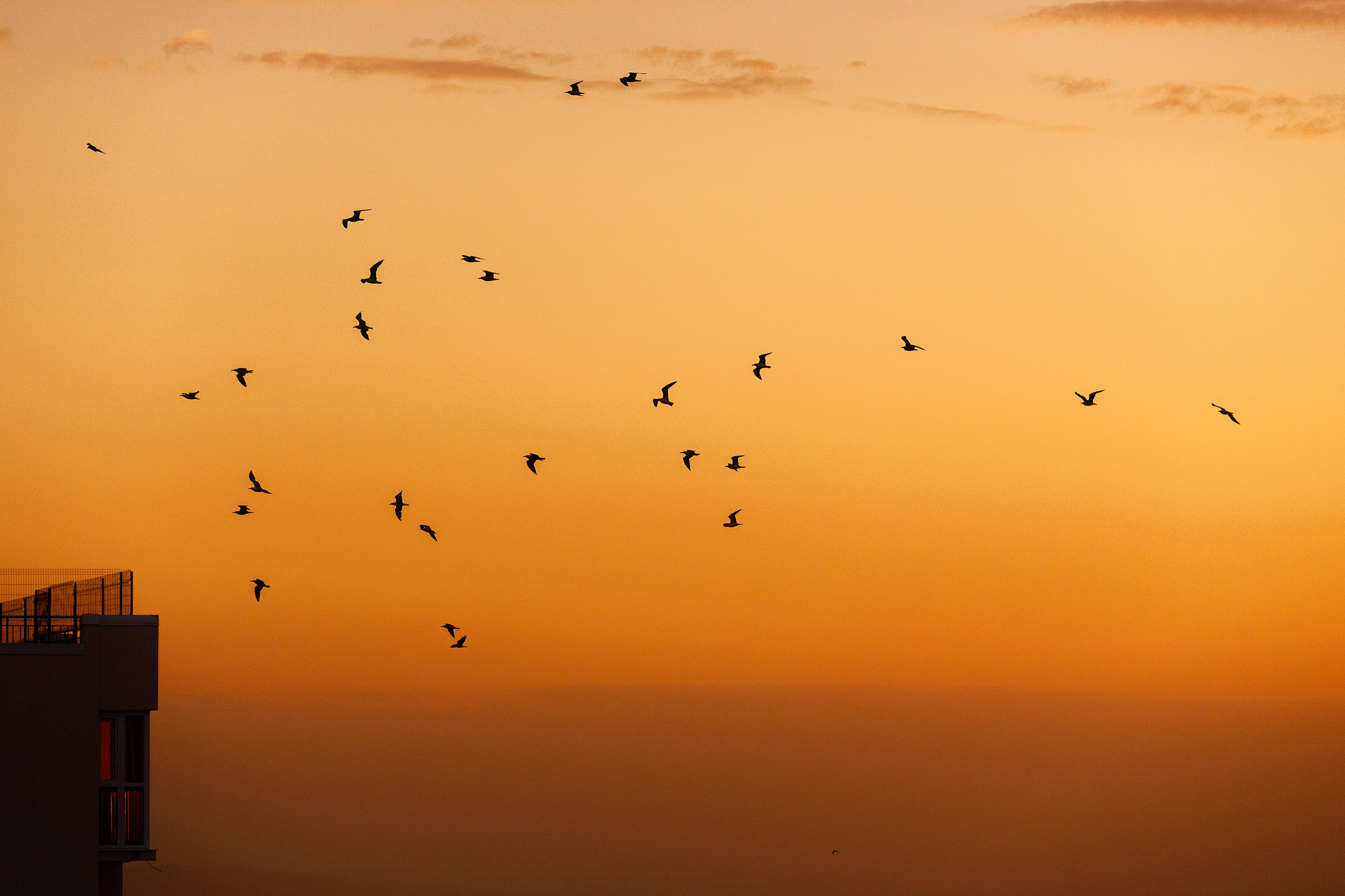 Проект «366»|2024|Фото каждый день. LENA GRACE photographer ||ЛЕНА ГРЭЙС фотограф