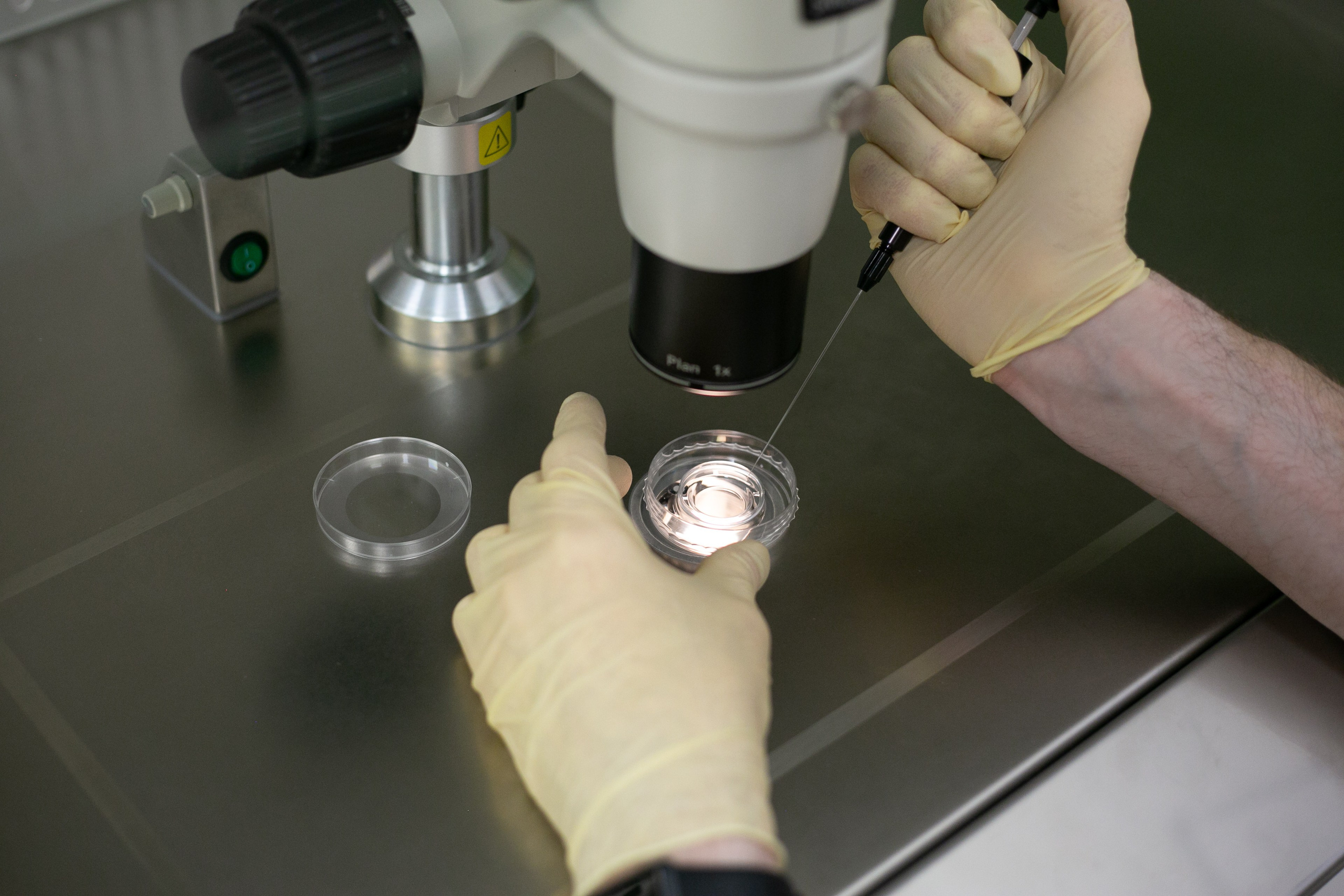 Корпоративная съёмка. Фотограф в Новосибирске Краснова Евгения