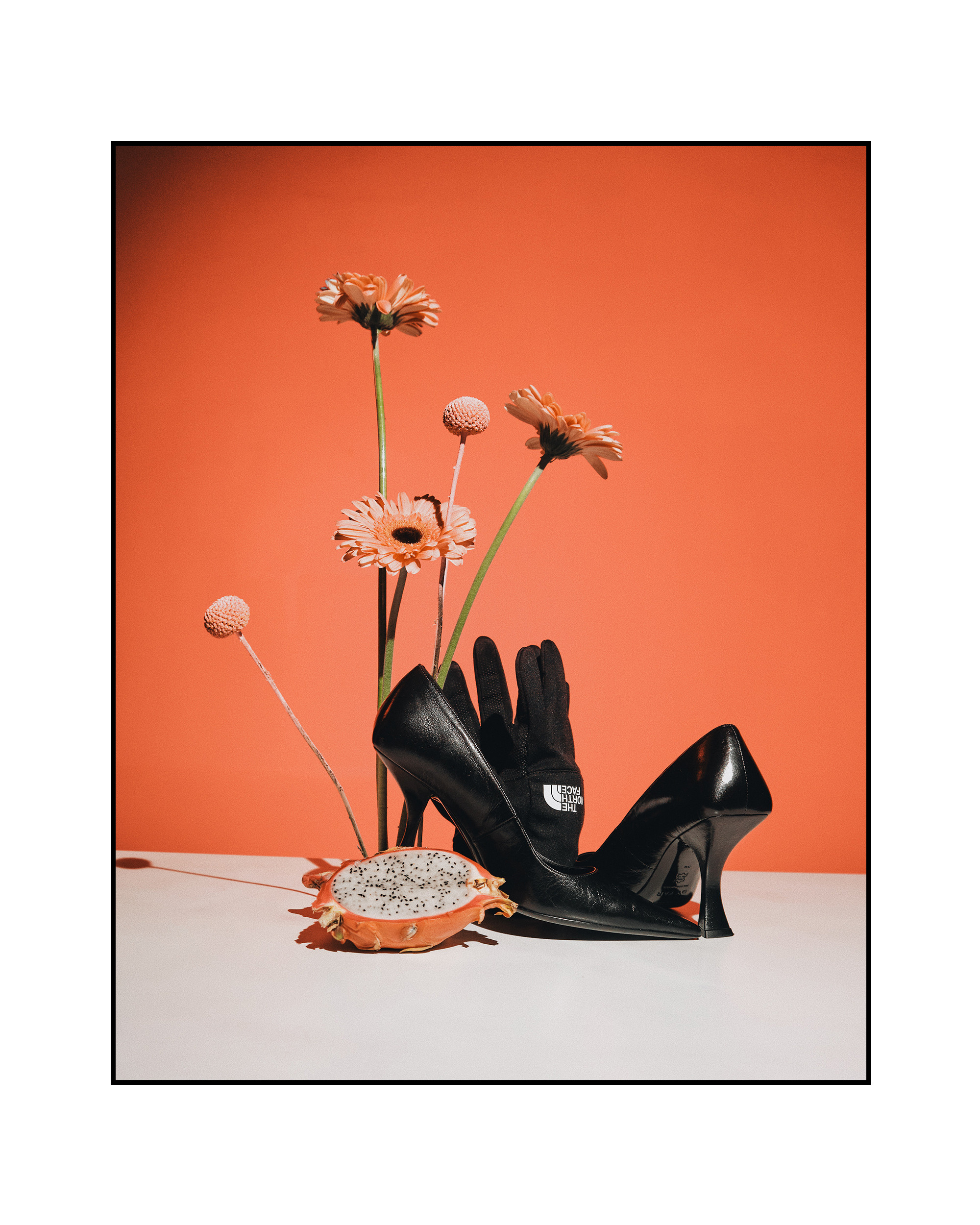 @mariaprokhvatilova @doom_of_bloom. @39.62