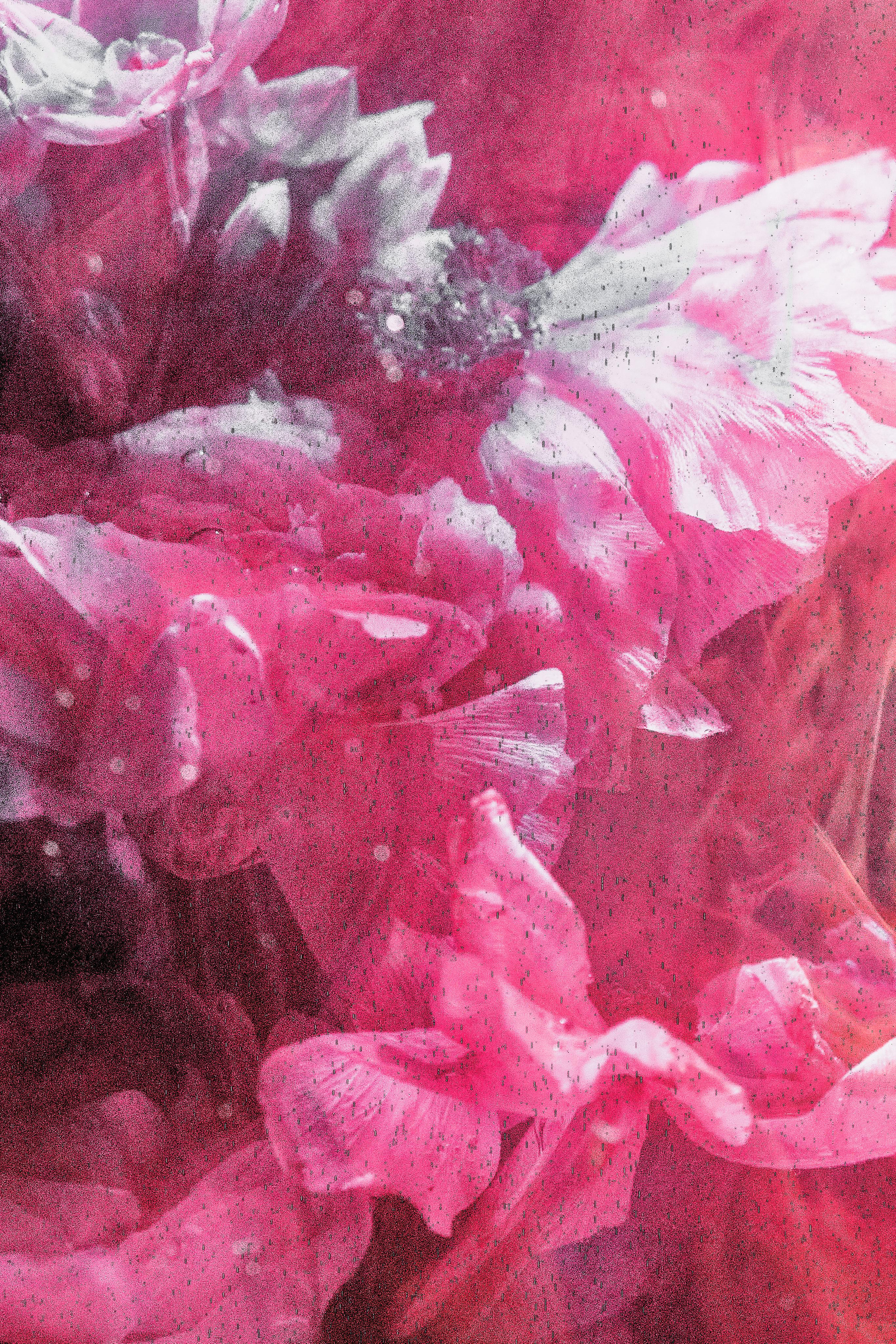 Water @doom_of_bloom. @39.62