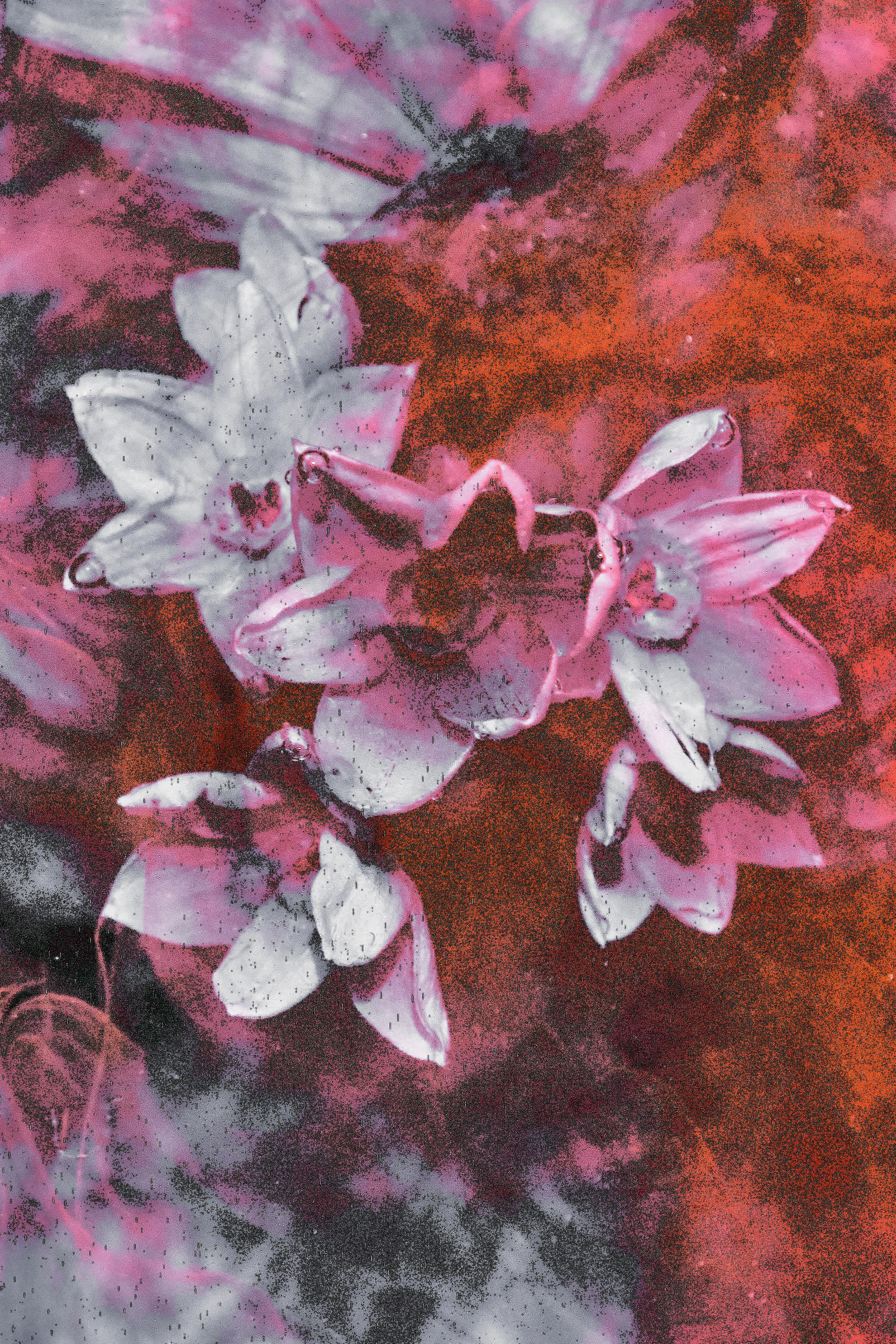 Water @doom_of_bloom. @39.62