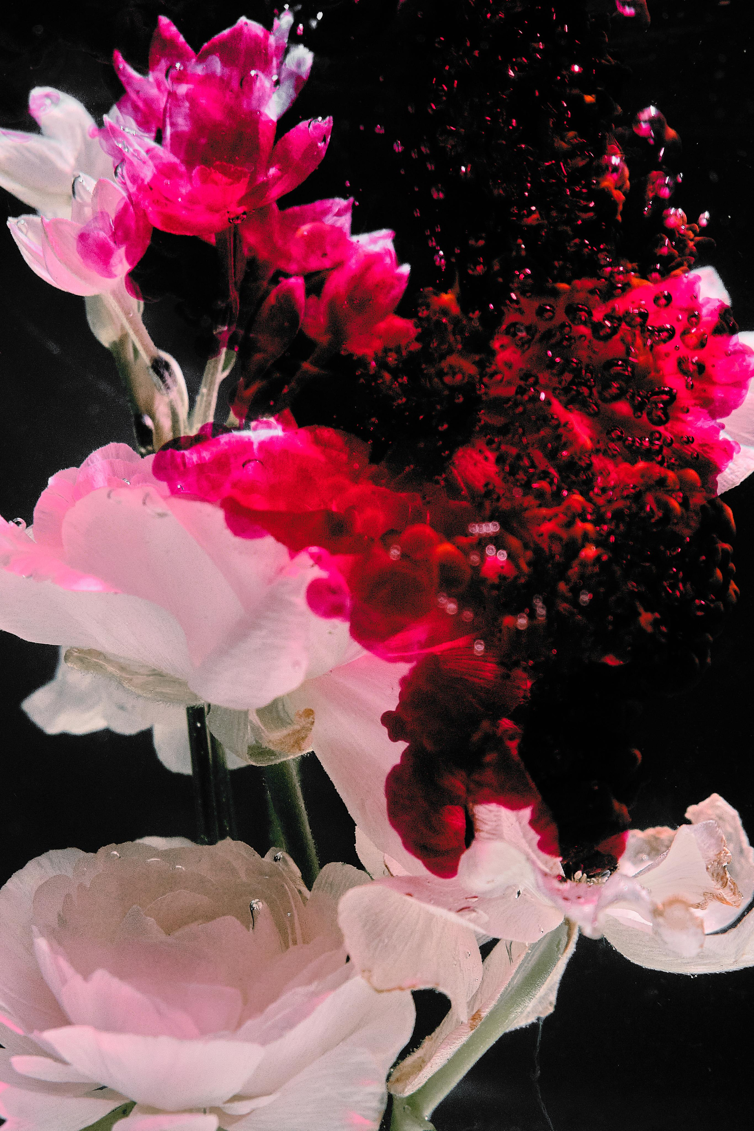 Water @doom_of_bloom. @39.62