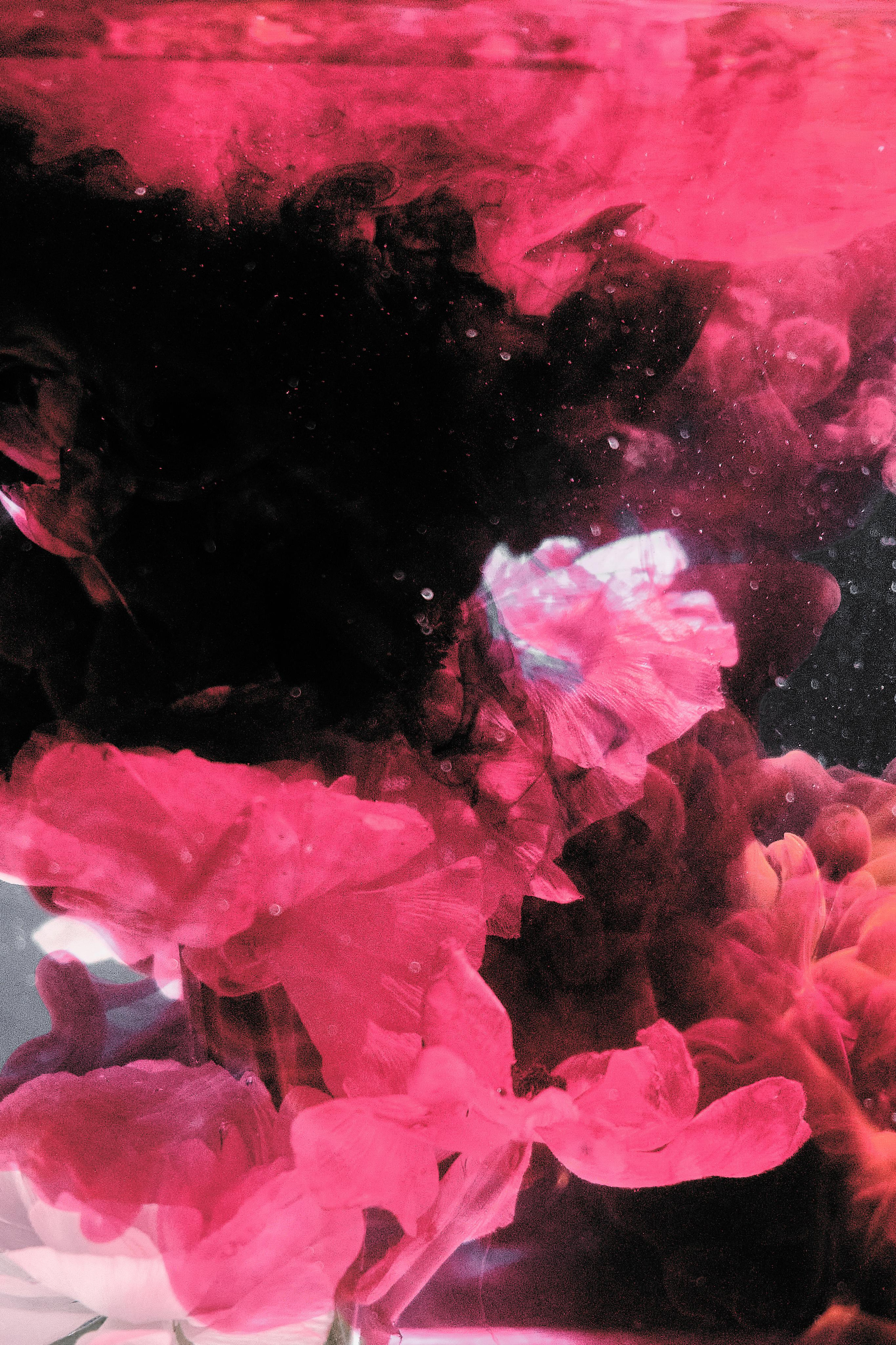 Water @doom_of_bloom. @39.62