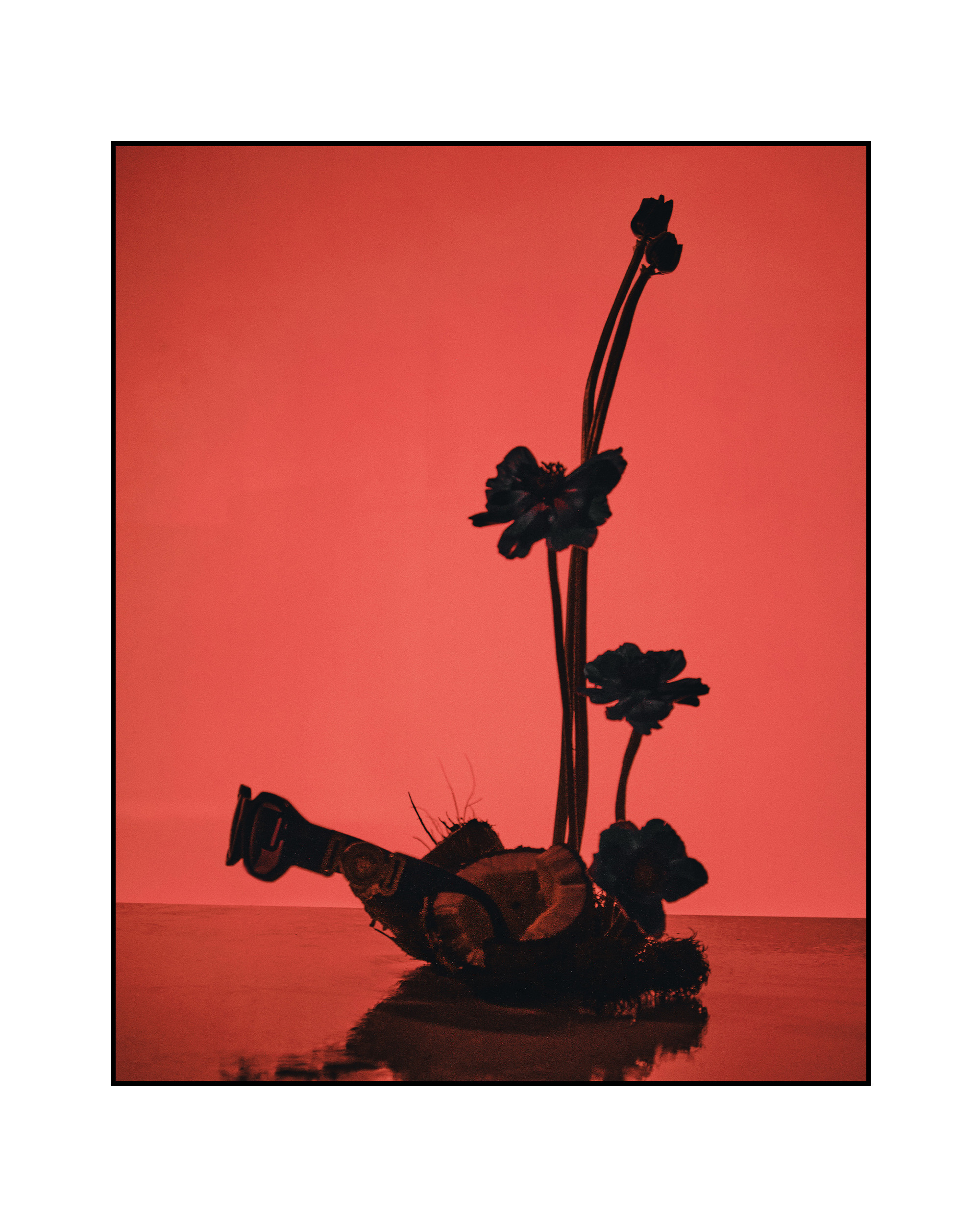 @mariaprokhvatilova @doom_of_bloom. @39.62