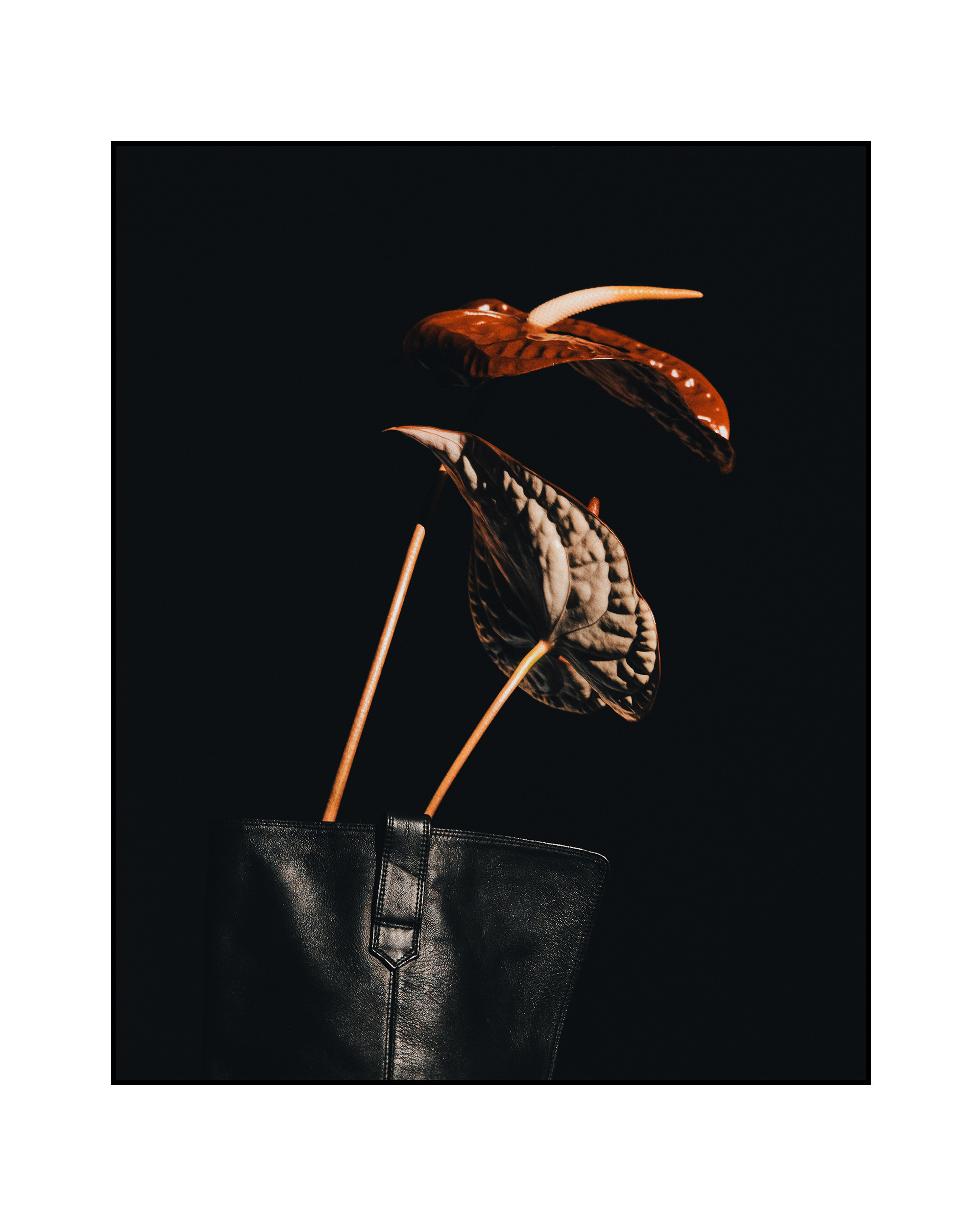 @mariaprokhvatilova @doom_of_bloom. @39.62