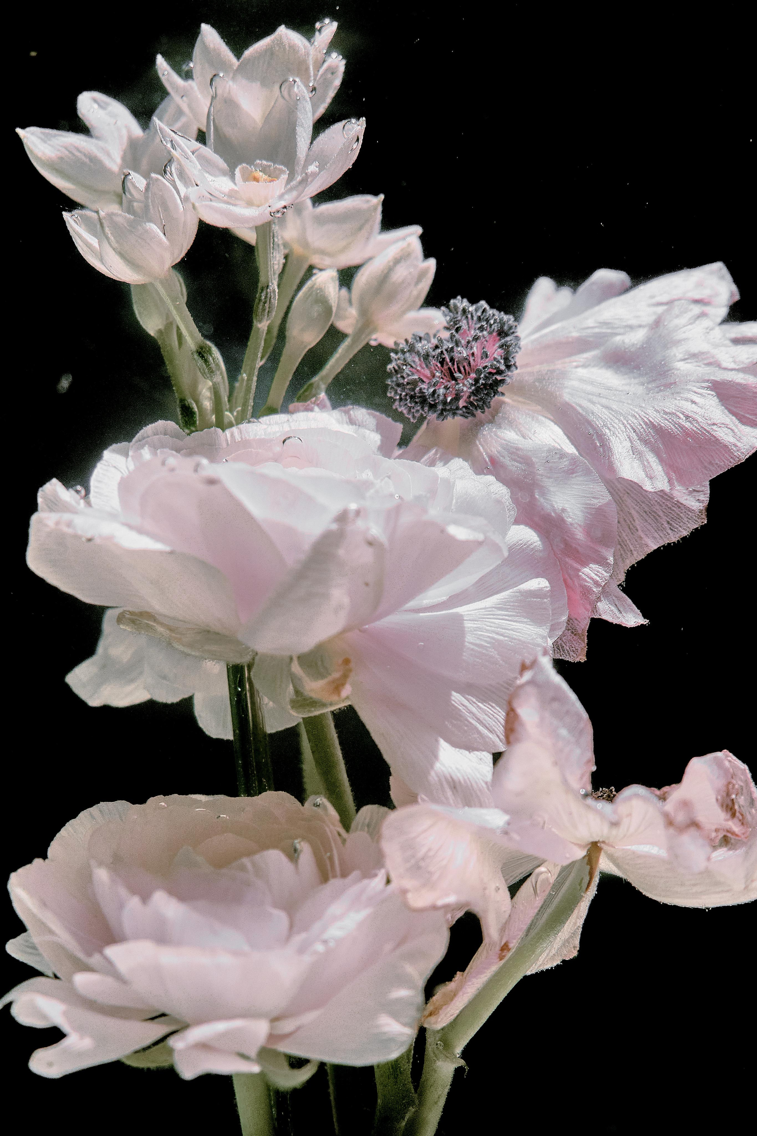 Water @doom_of_bloom. @39.62