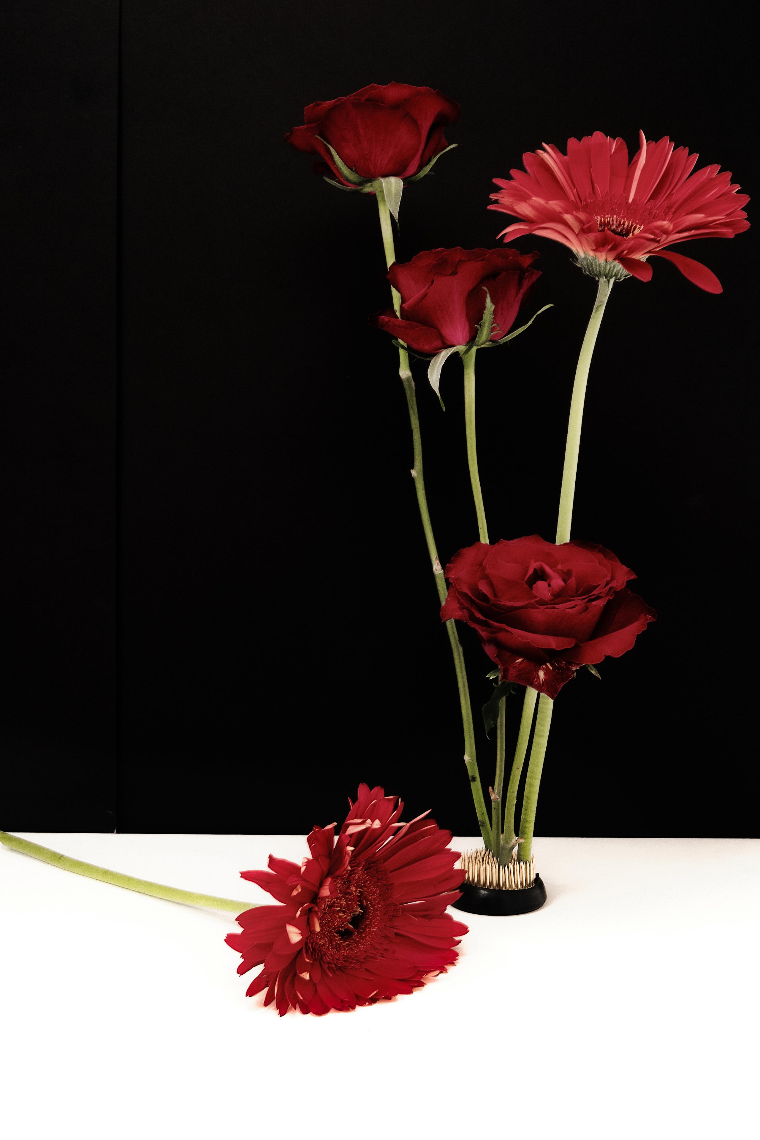 Black Red @doom_of_bloom. @39.62