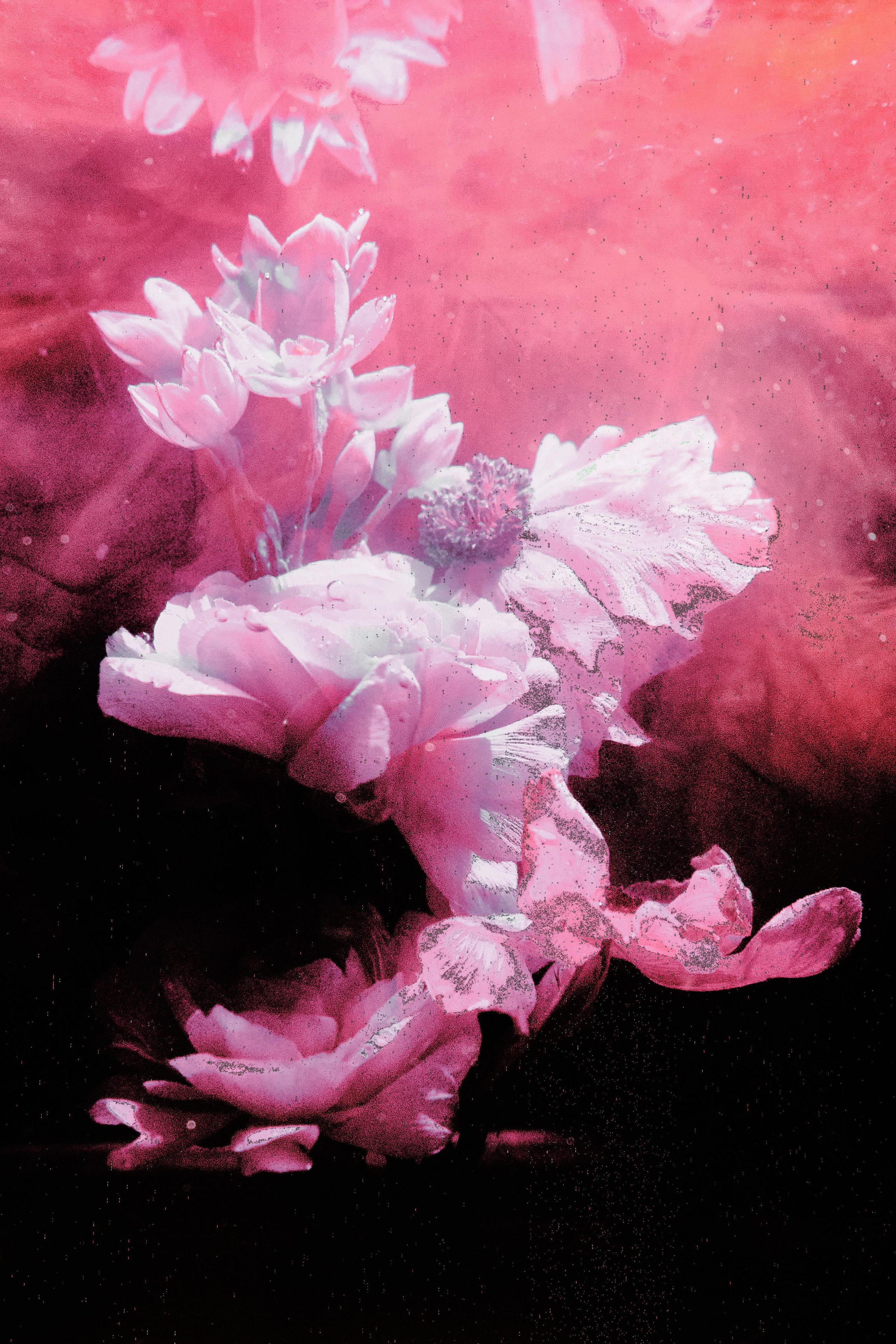 Water @doom_of_bloom. @39.62