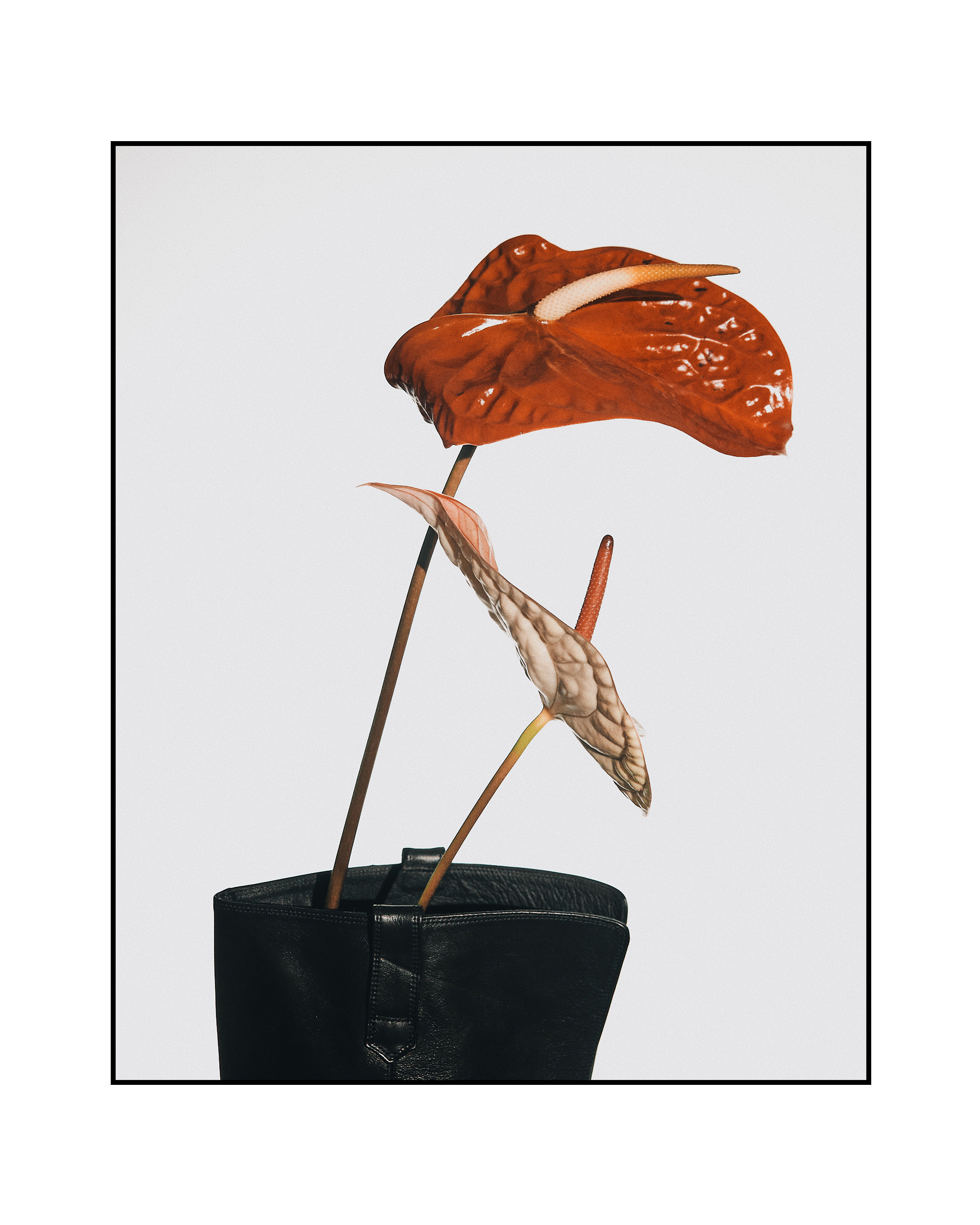 @mariaprokhvatilova @doom_of_bloom. @39.62