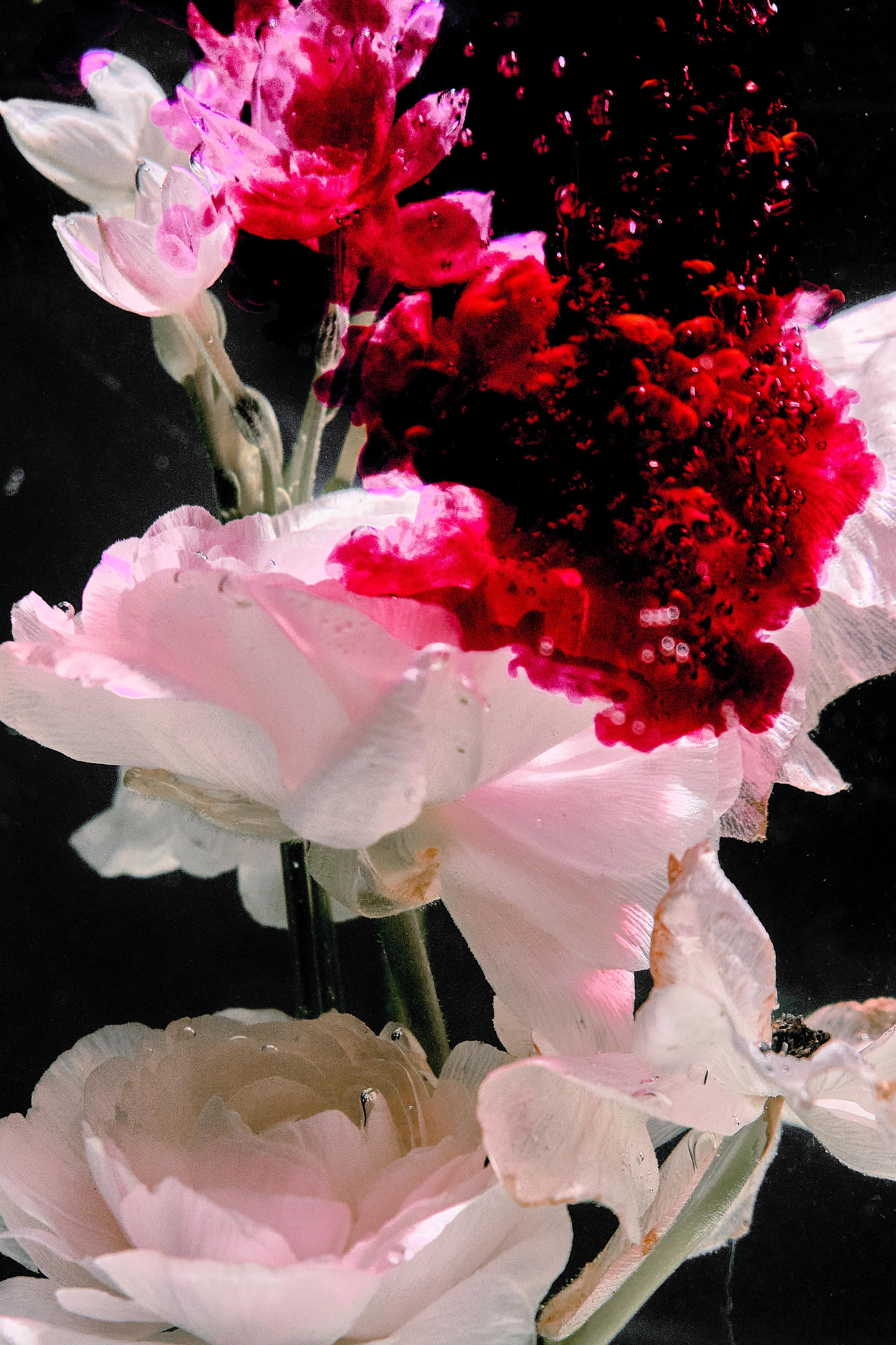 Water @doom_of_bloom. @39.62