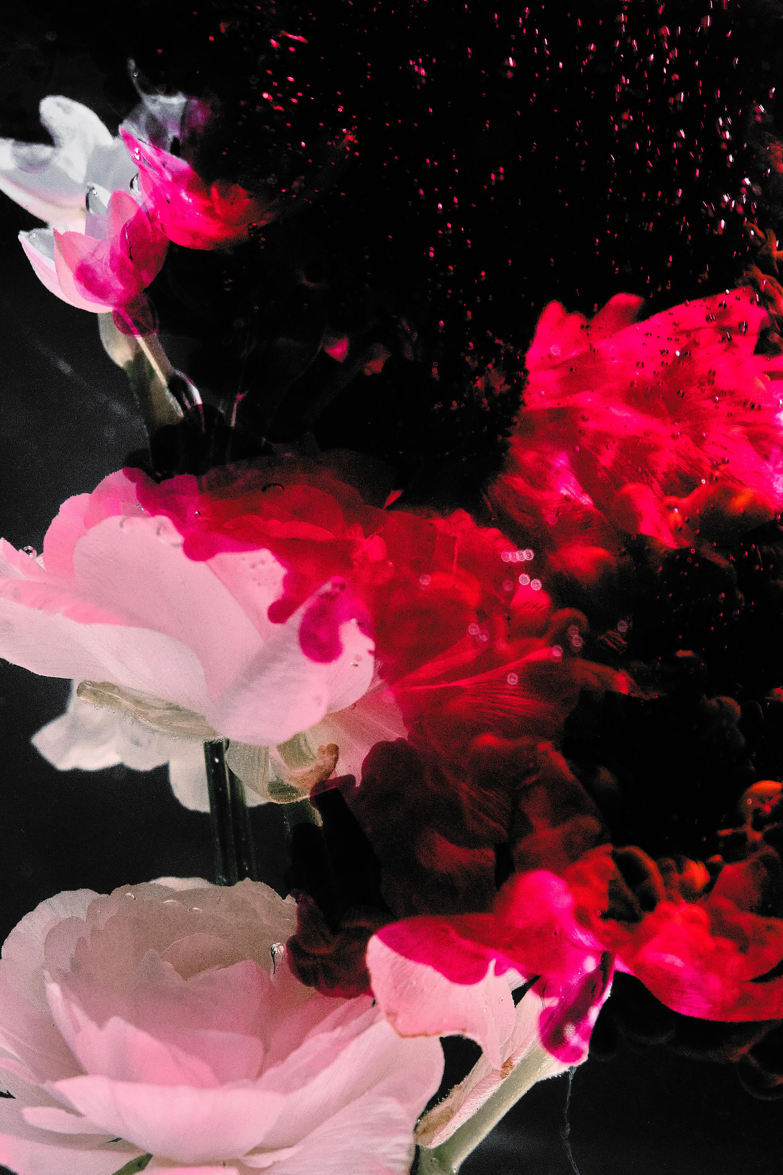 Water @doom_of_bloom. @39.62