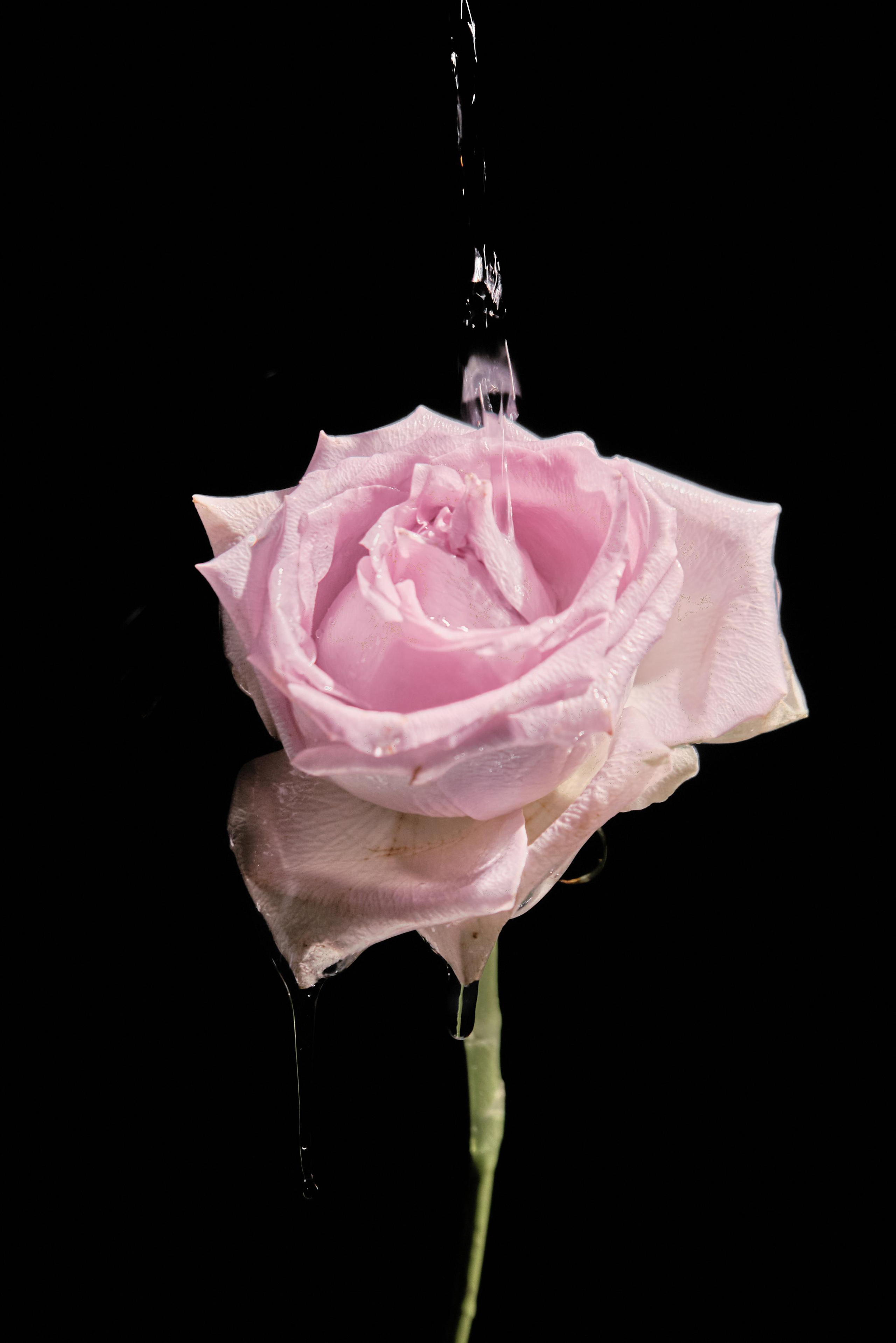 Water @doom_of_bloom. @39.62