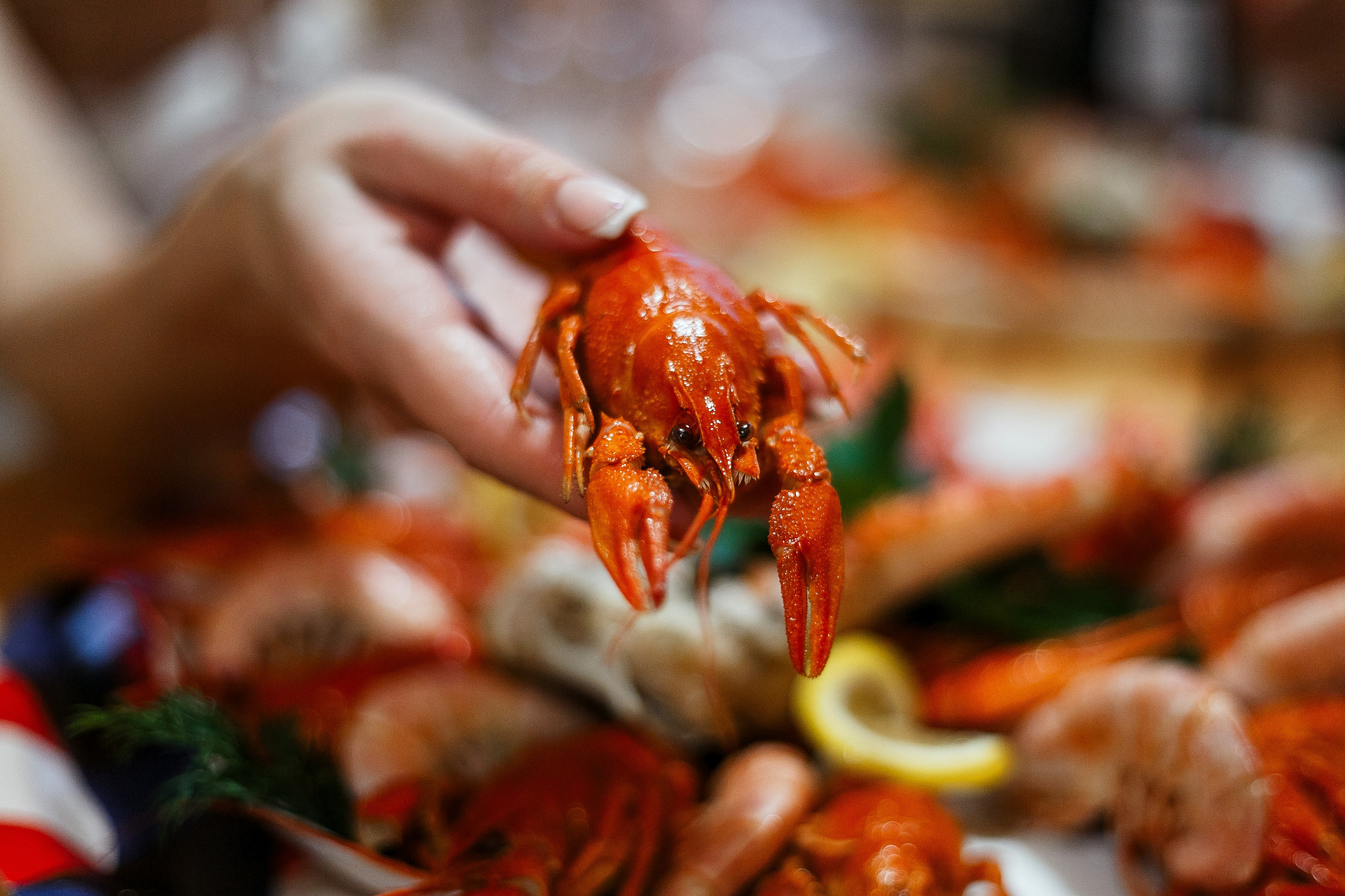 Банный комплекс. Фотосъёмка для бизнеса — предметное фото, репортаж с мероприятий, портреты людей, съёмка интерьера и экстерьера