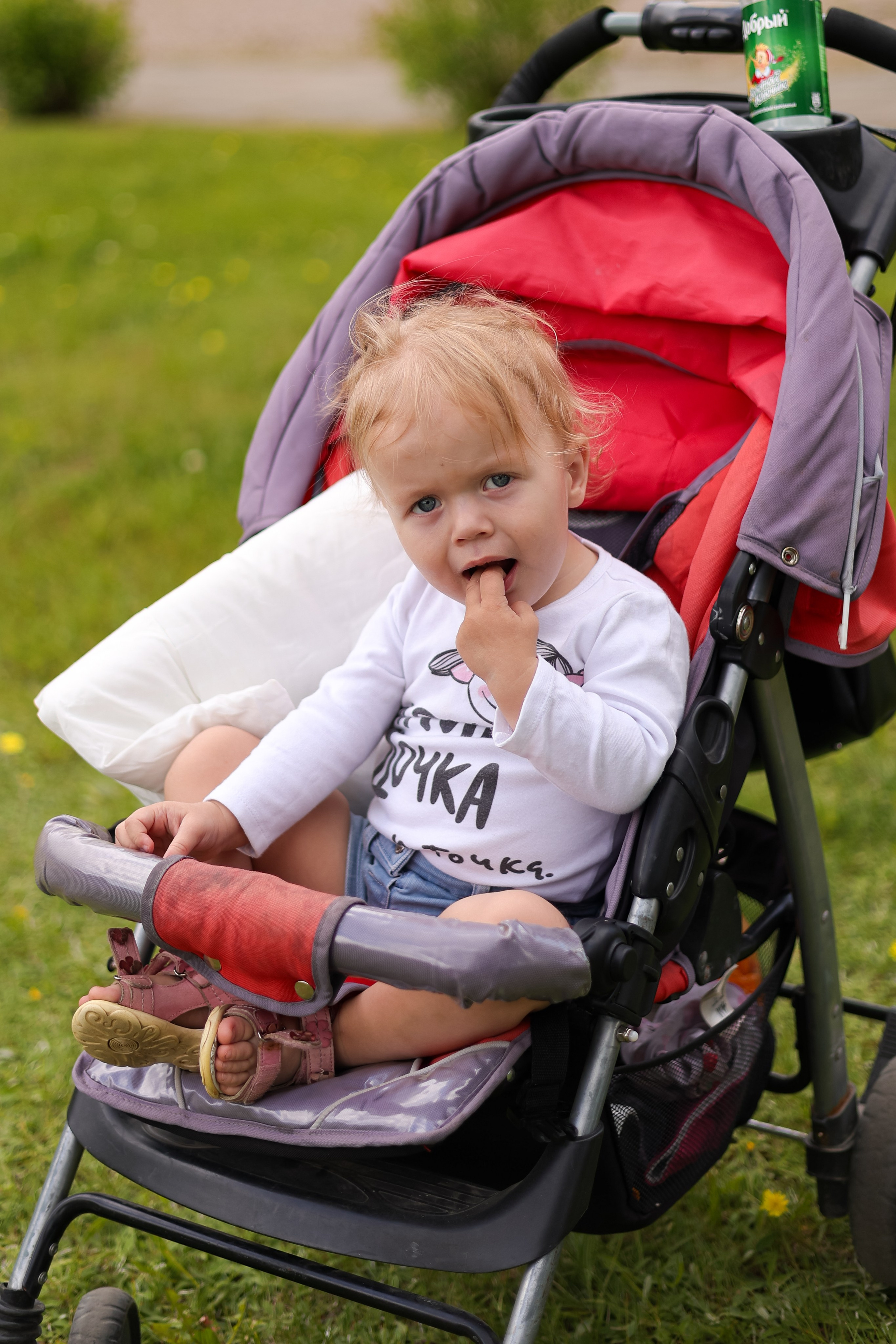 Благотворительный проект в Caritas. Свадебный фотограф Беларусь Ольга Козыренко