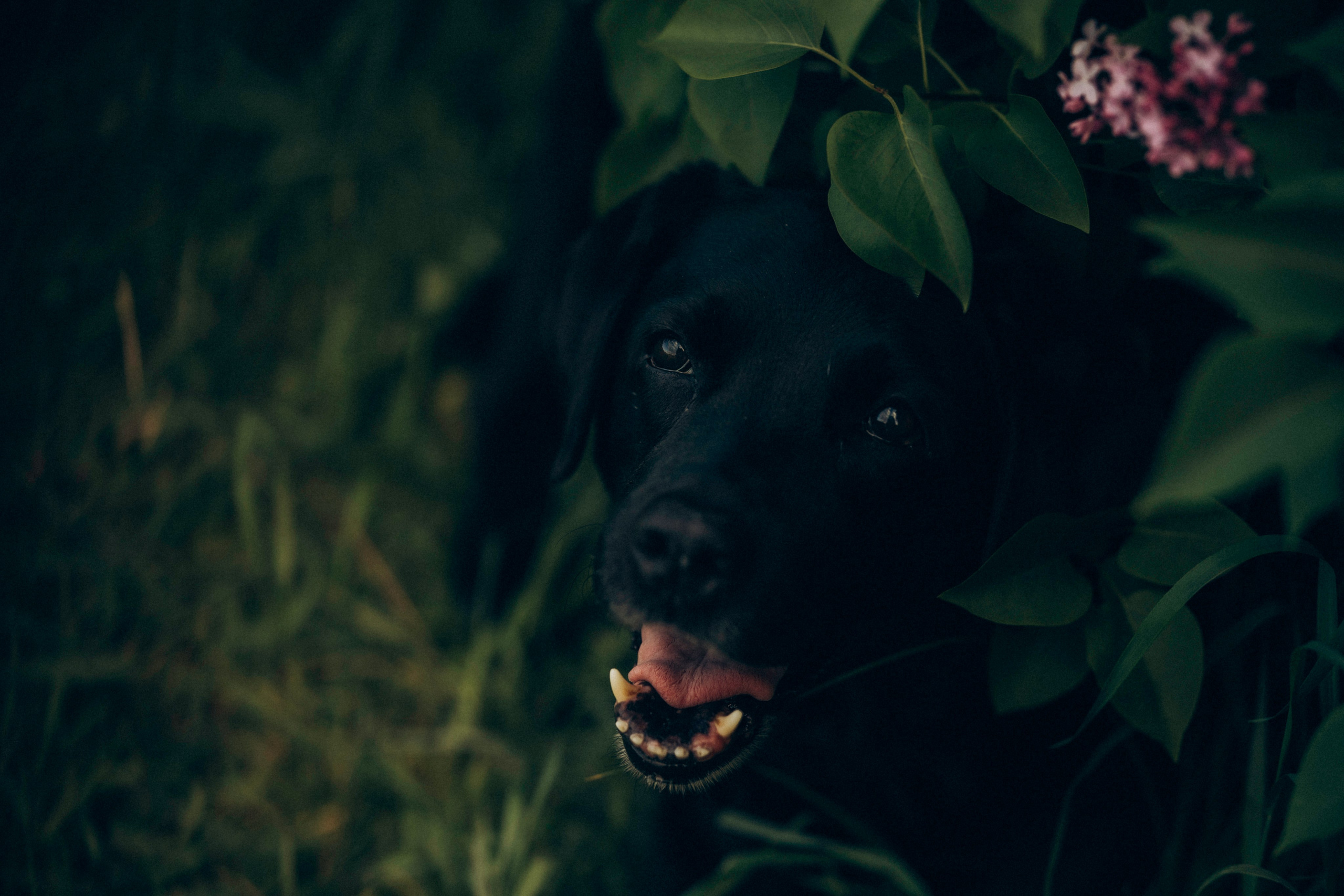 Юлия и Барселона. Татьяна Афонина | Фотограф
